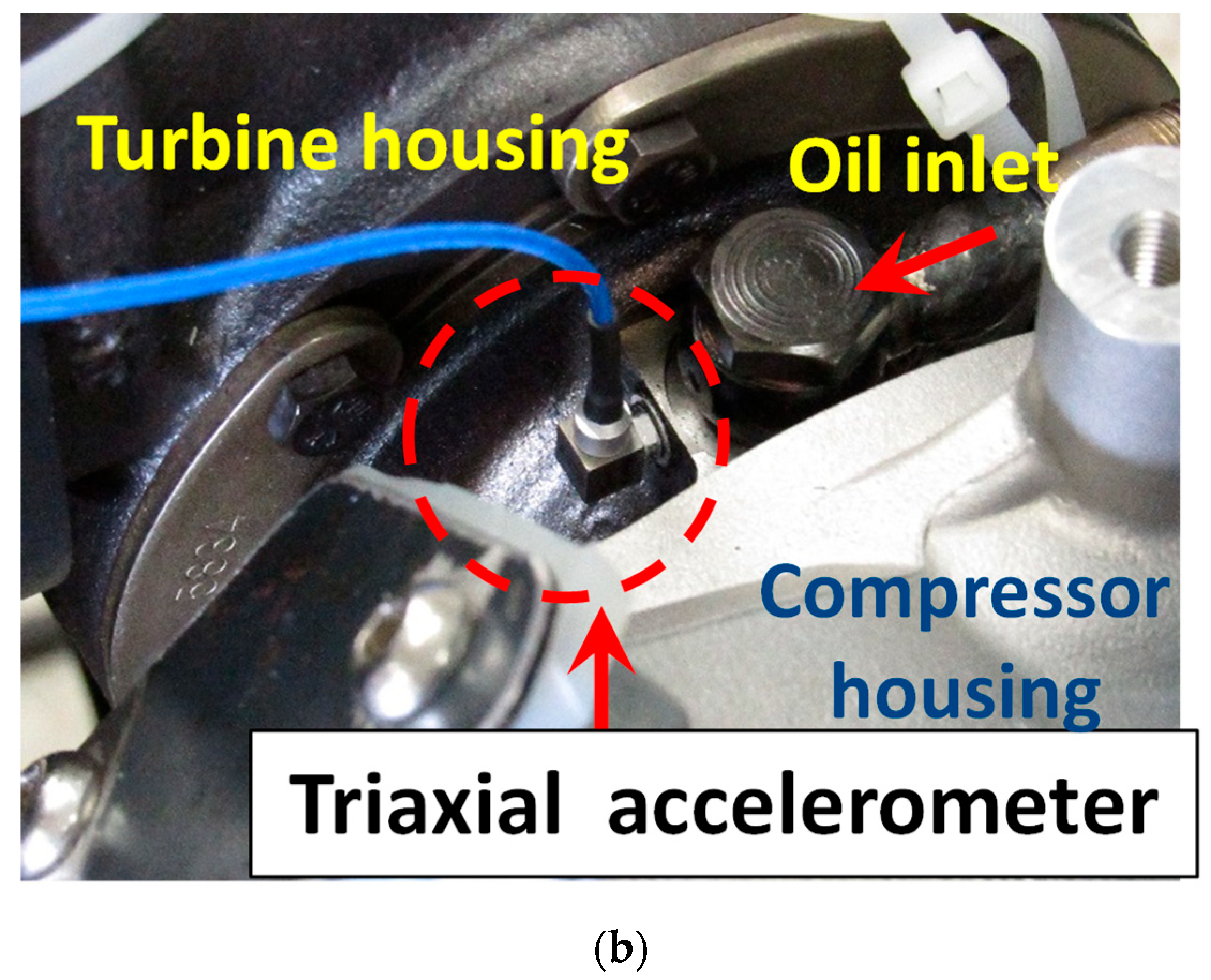 Lubricants 13 00338 g003b