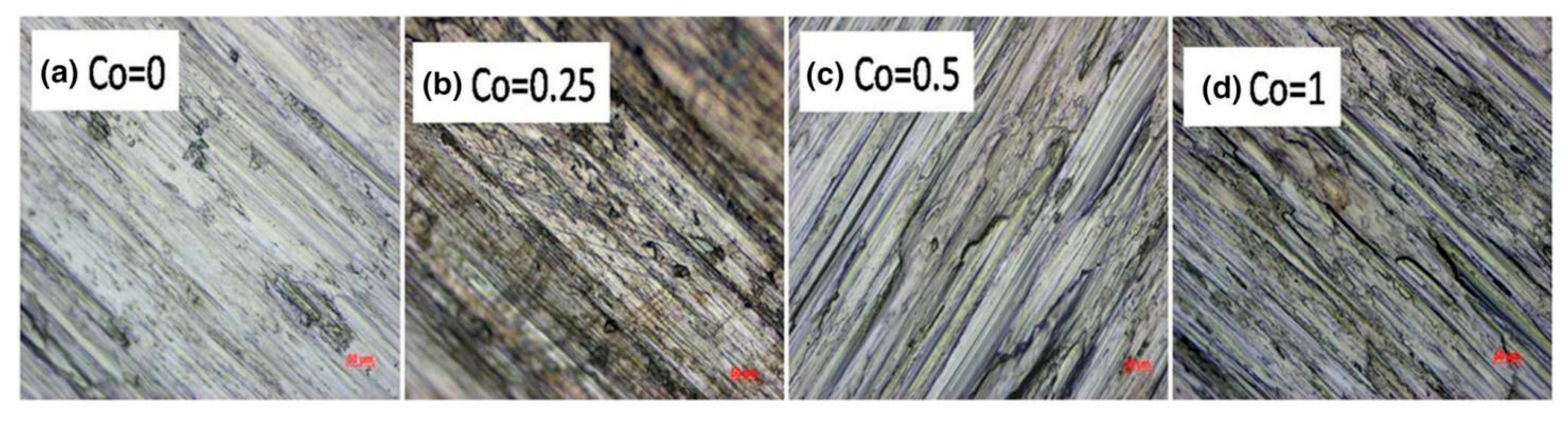 Lubricants 13 00342 g008
