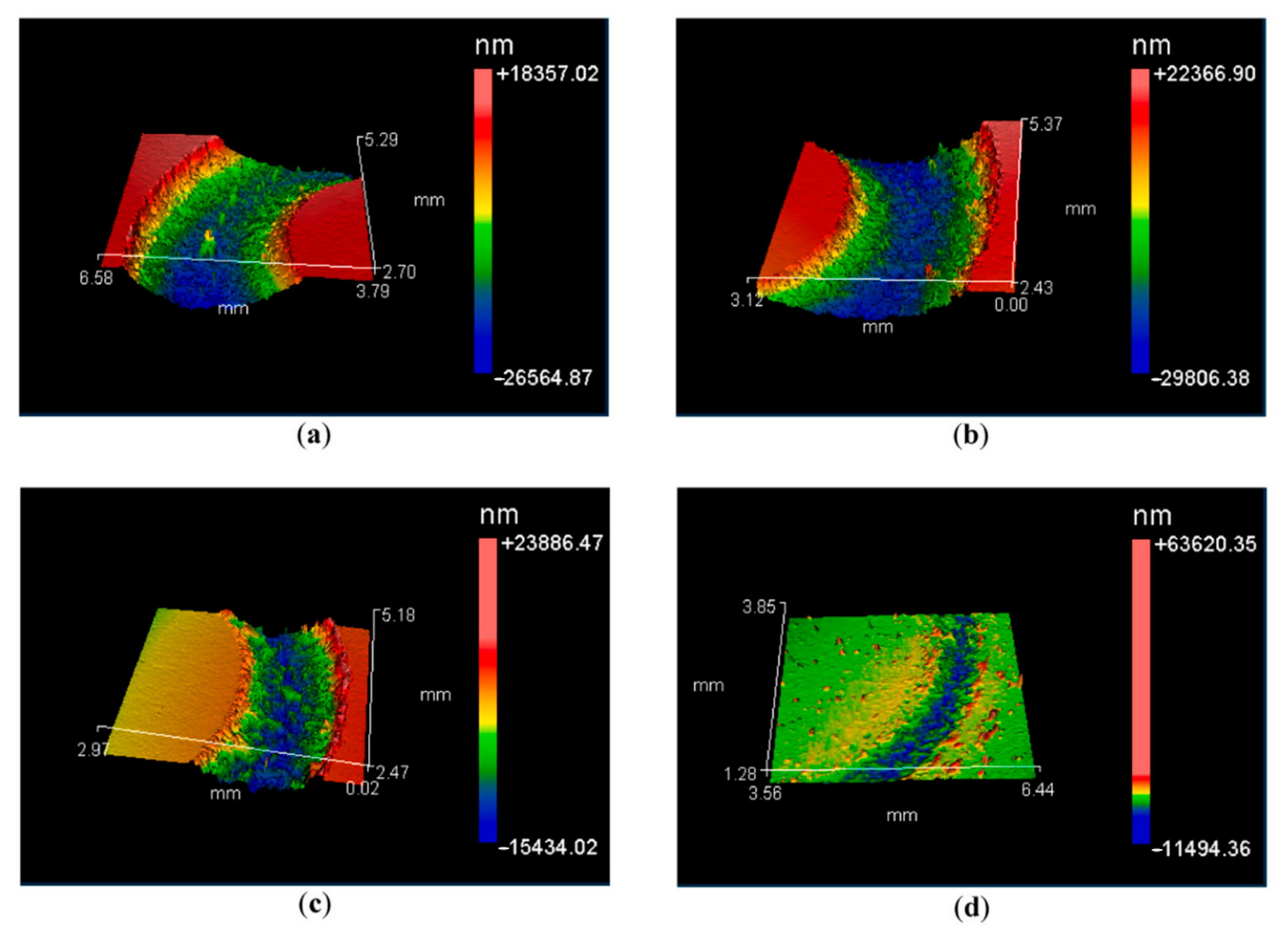 Lubricants 13 00342 g011