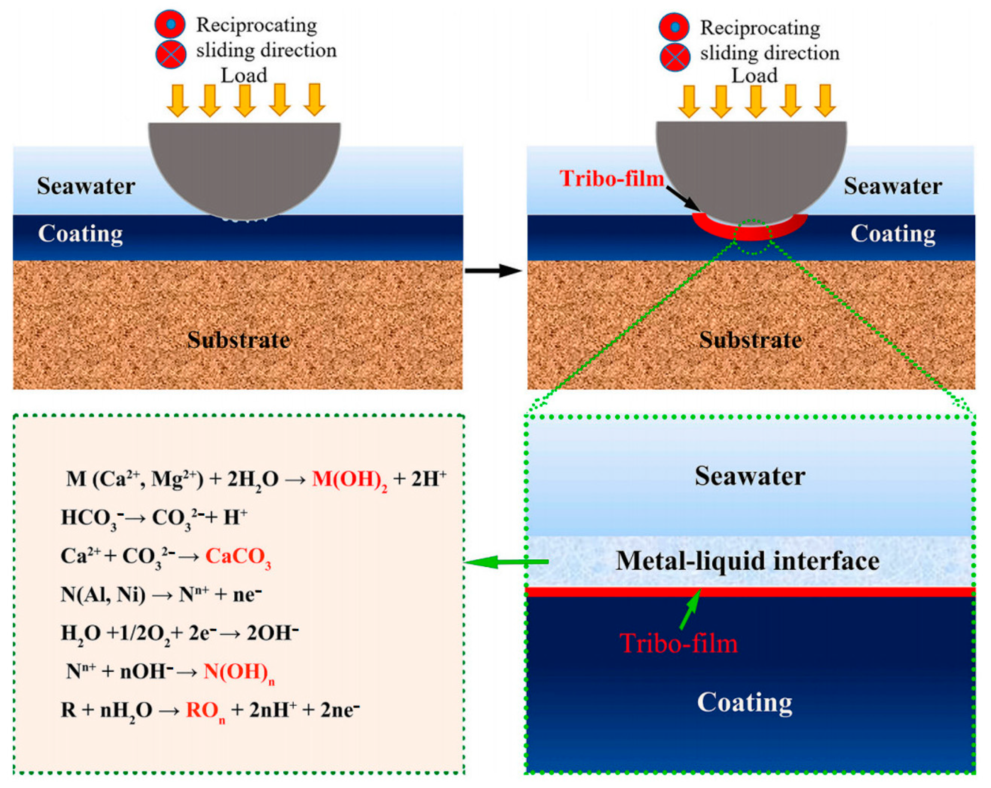 Lubricants 13 00342 g013