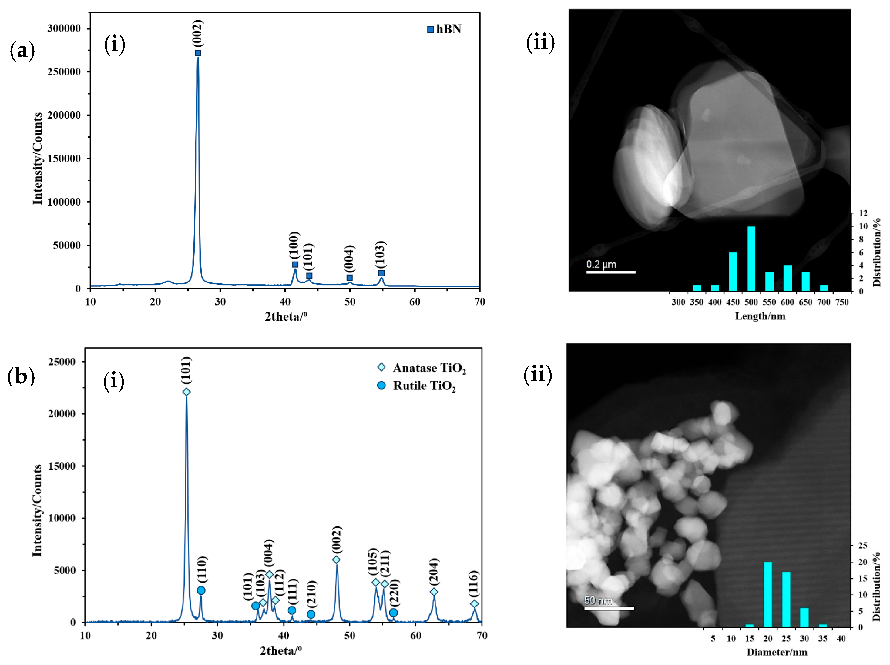 Lubricants 13 00344 g003