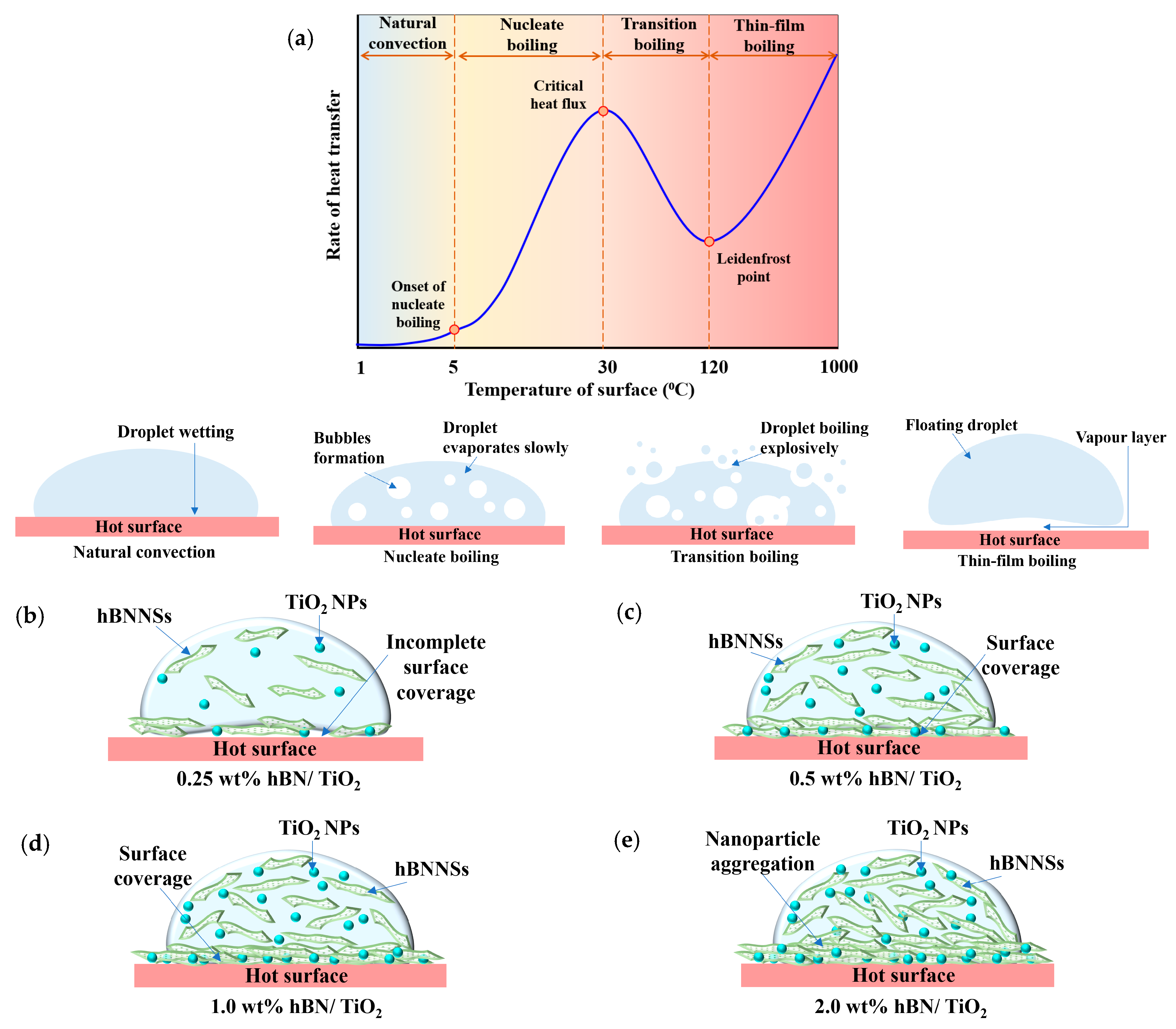 Lubricants 13 00344 g008