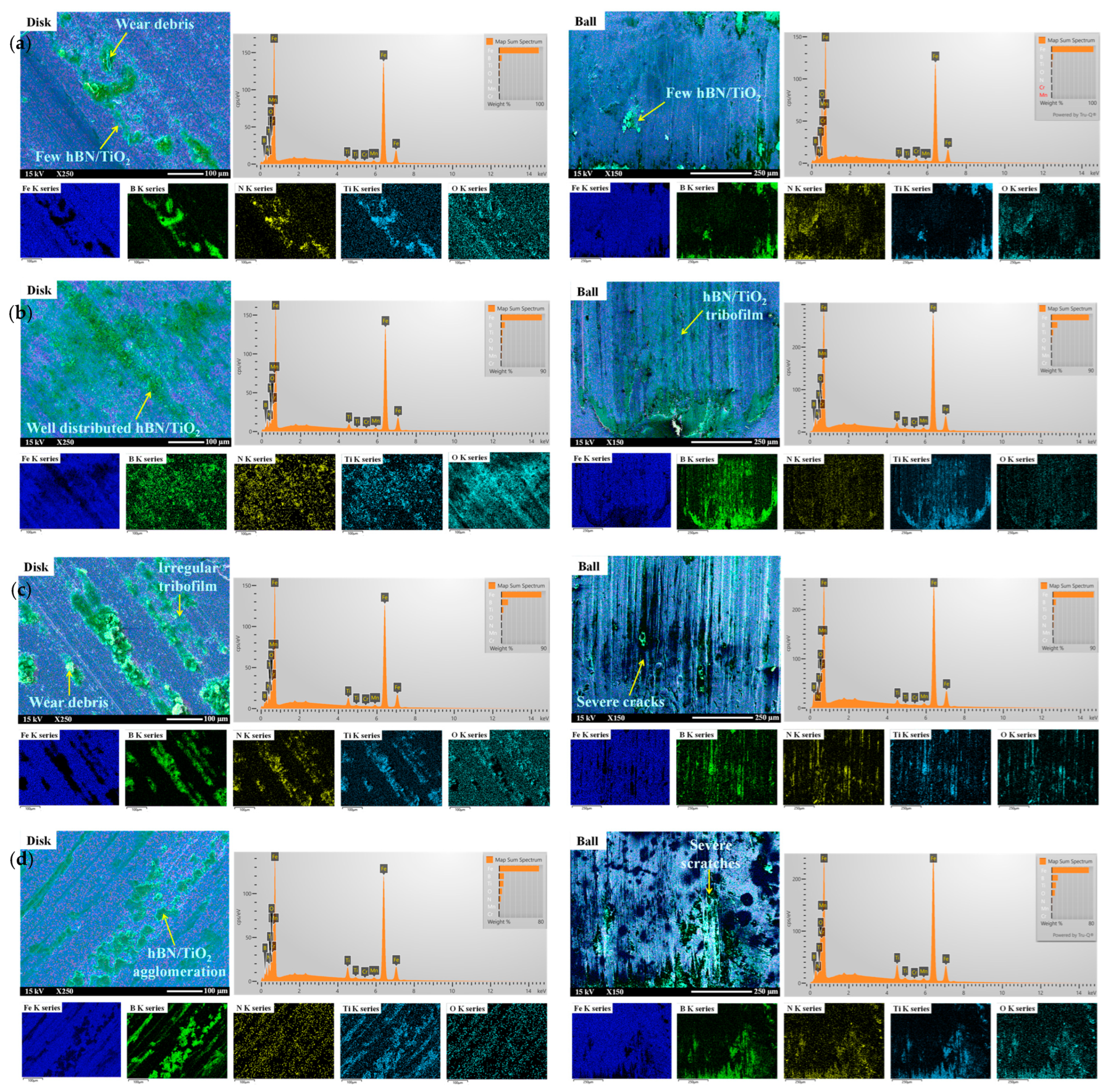 Lubricants 13 00344 g009