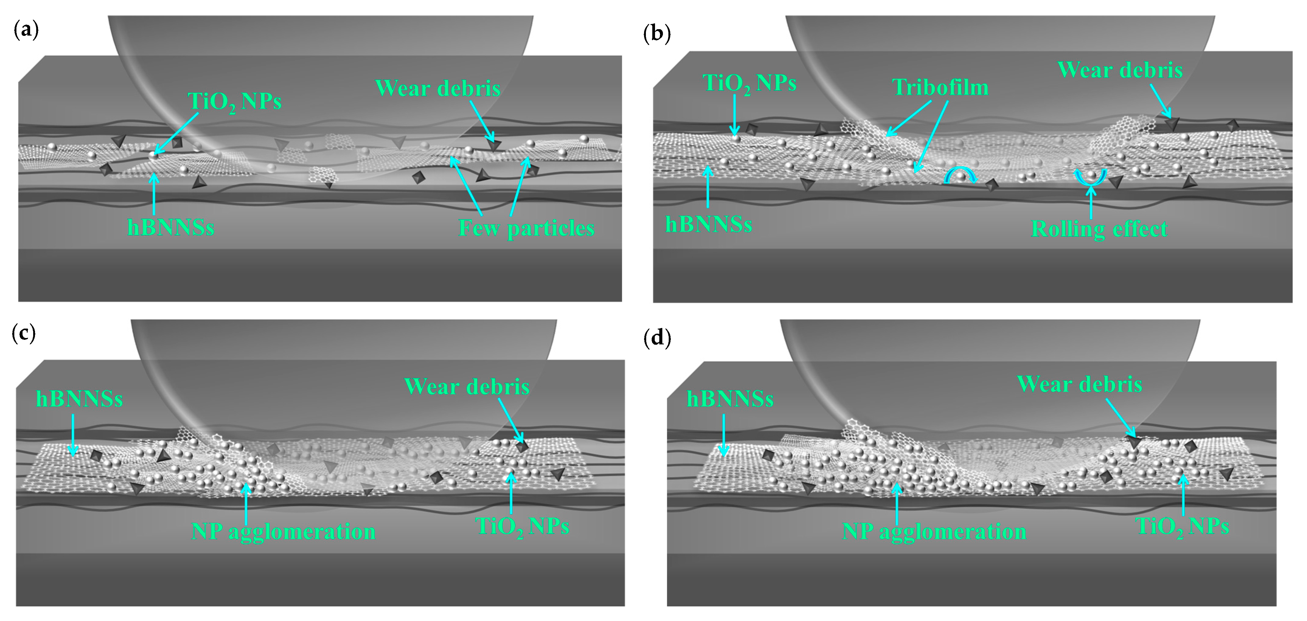 Lubricants 13 00344 g010