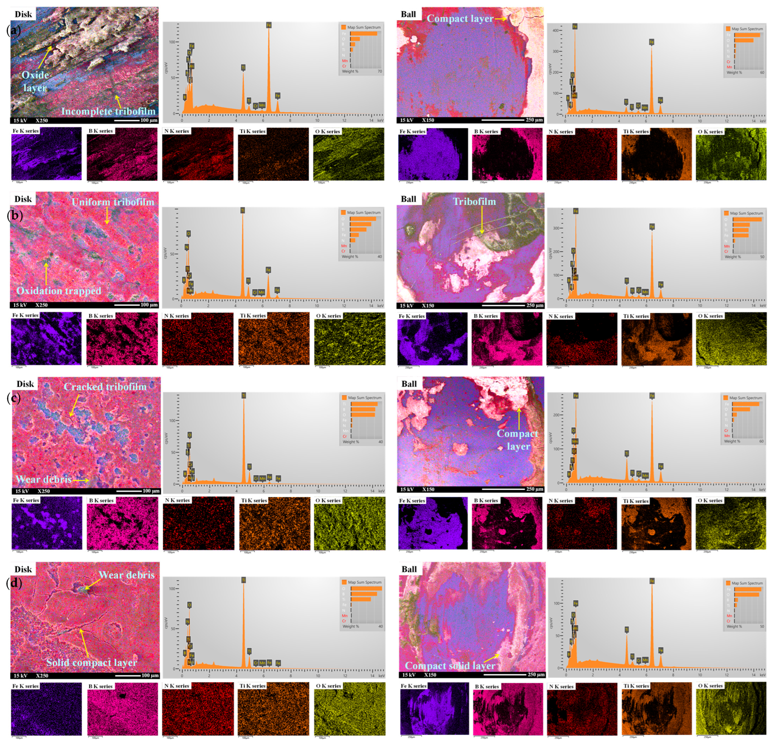 Lubricants 13 00344 g011