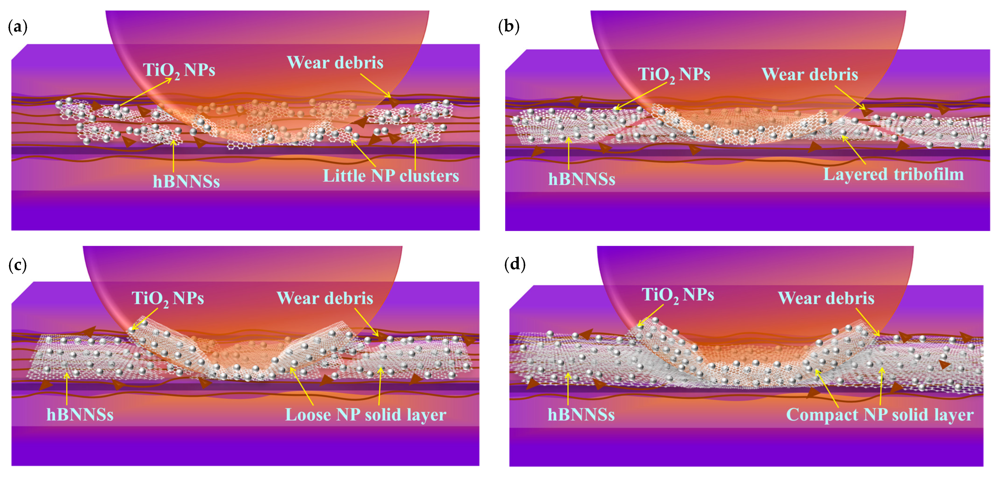 Lubricants 13 00344 g012