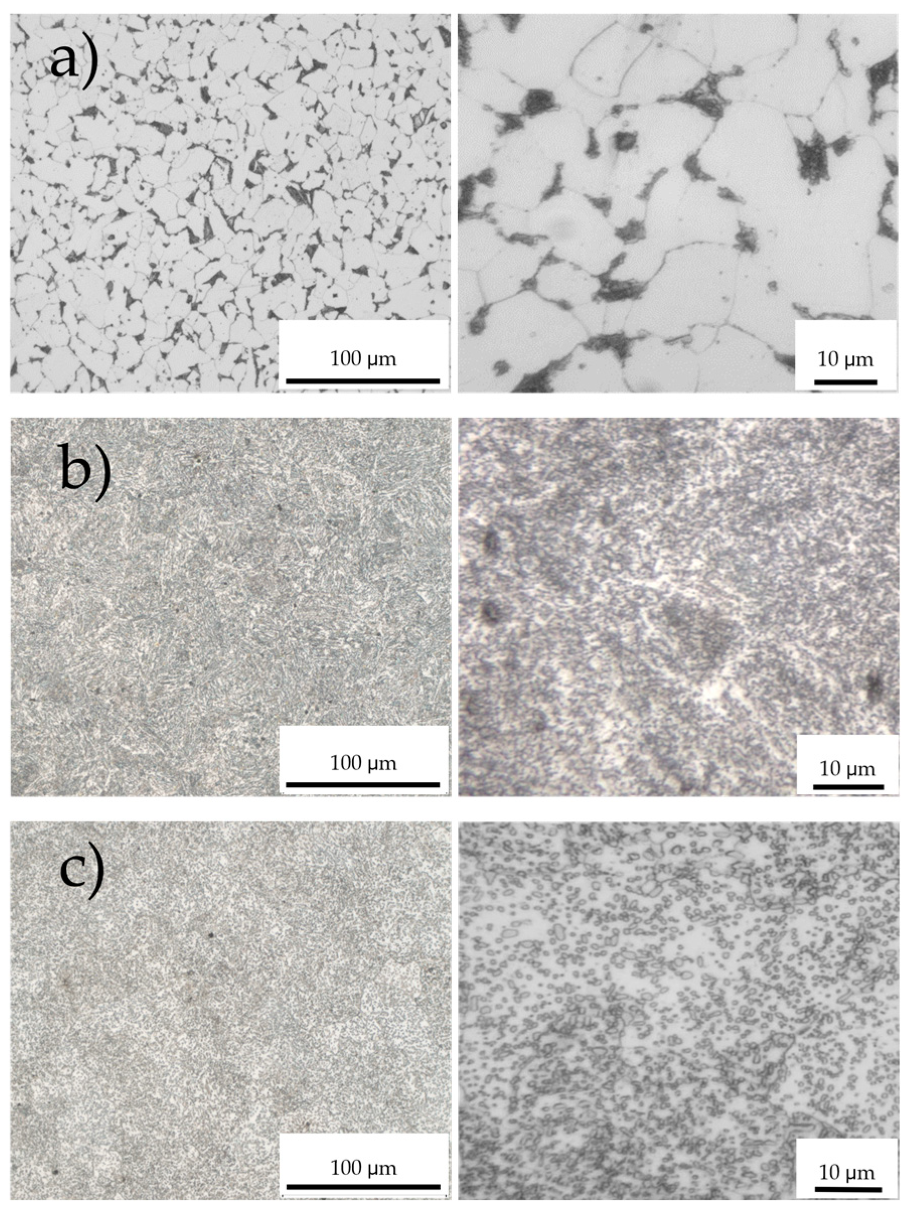 Lubricants 13 00347 g003