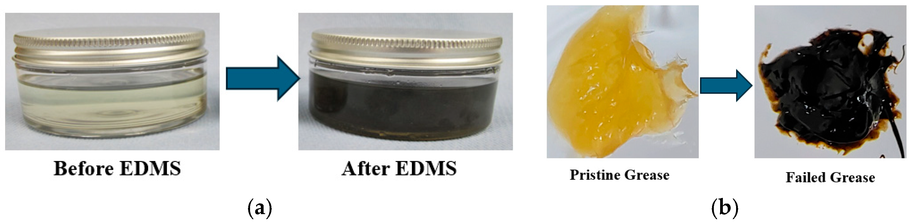 Lubricants 13 00349 g004 Lubricants 13 00349 g004