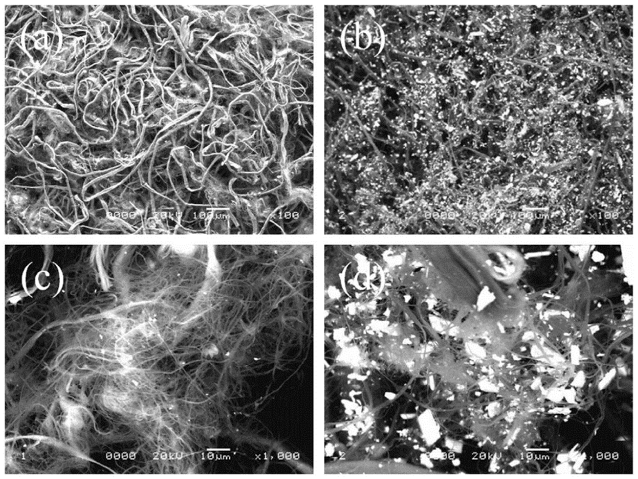 Lubricants 13 00357 g015