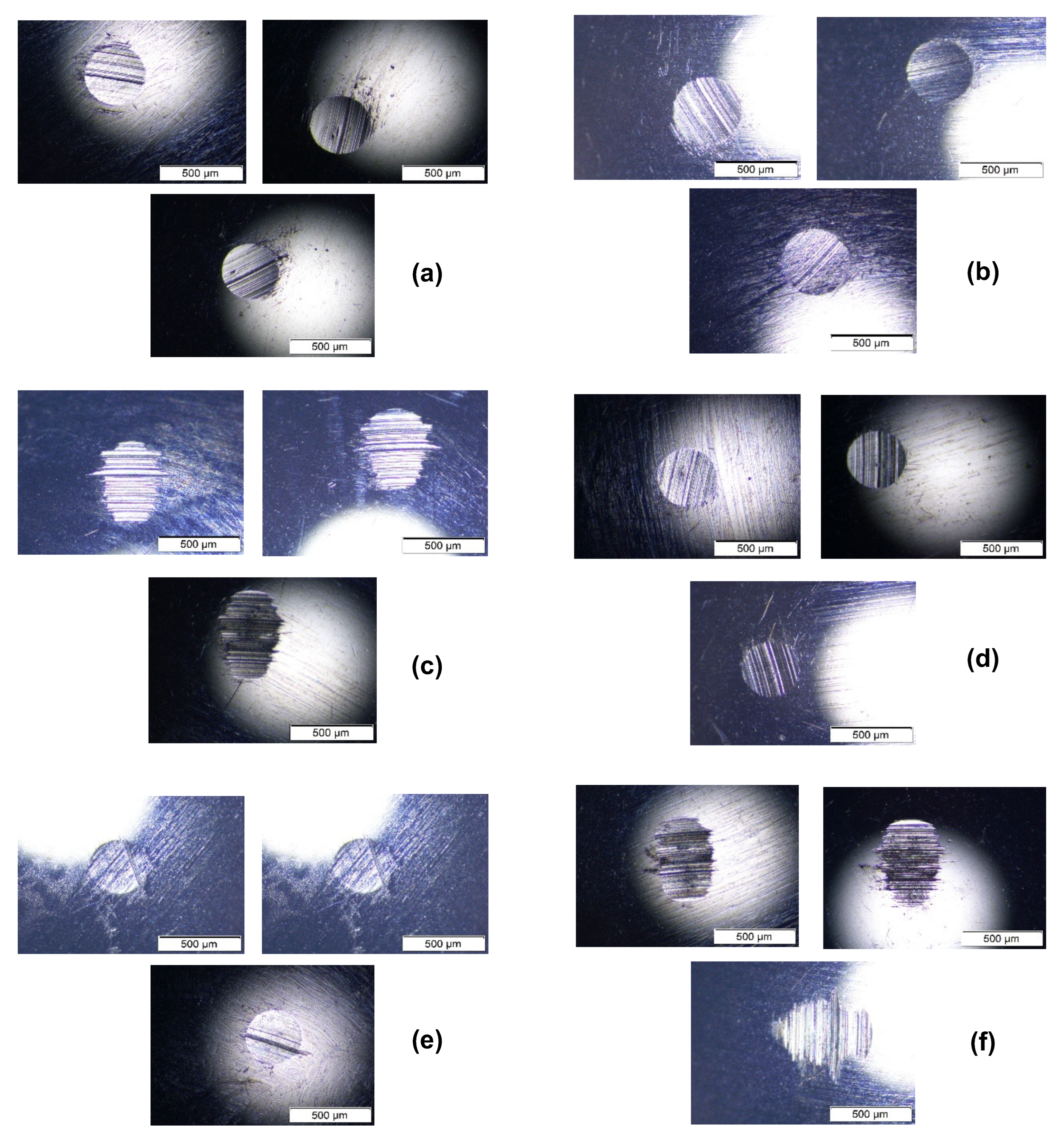 Lubricants 13 00358 g006 Lubricants 13 00358 g006