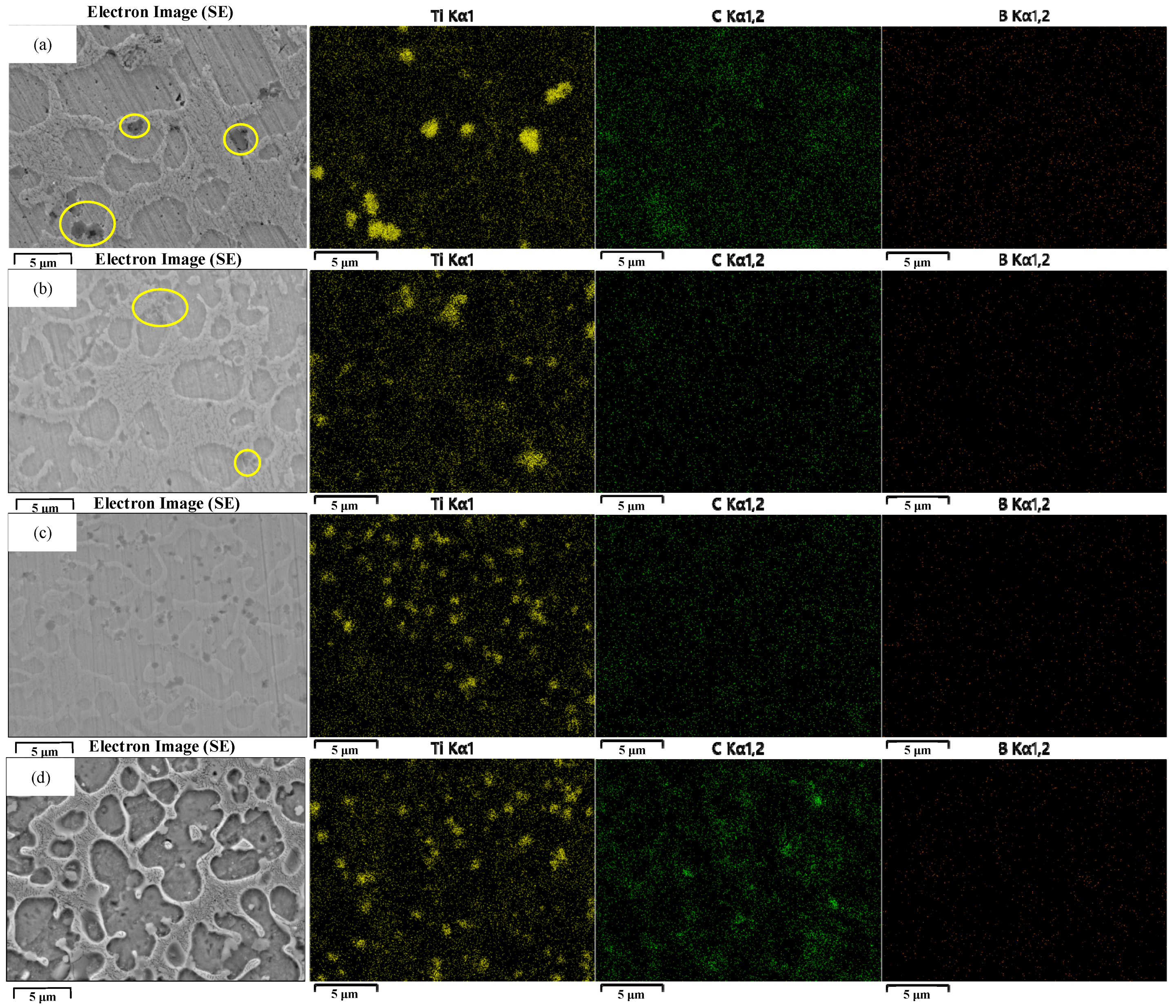 Lubricants 13 00359 g003