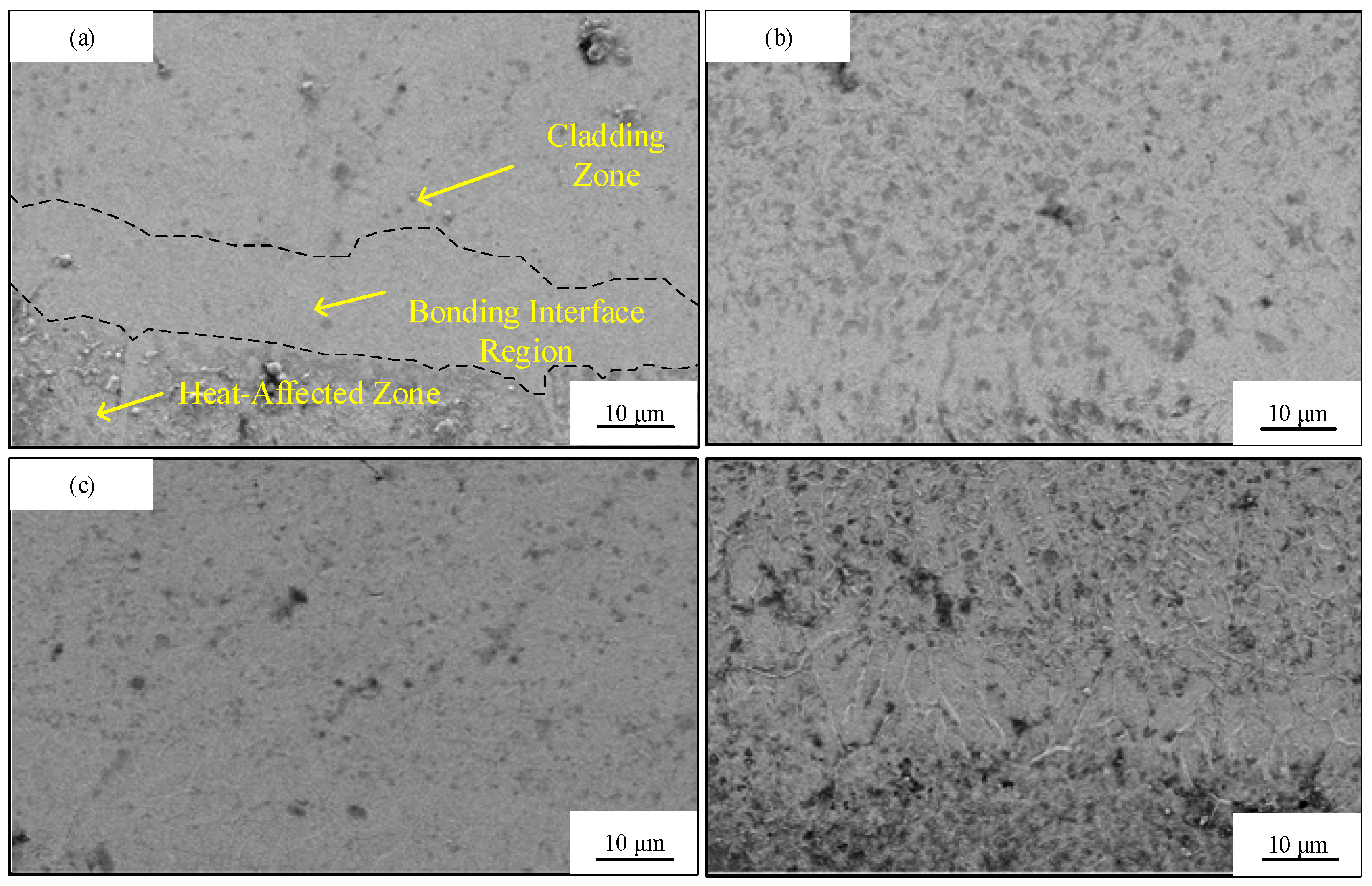 Lubricants 13 00359 g004