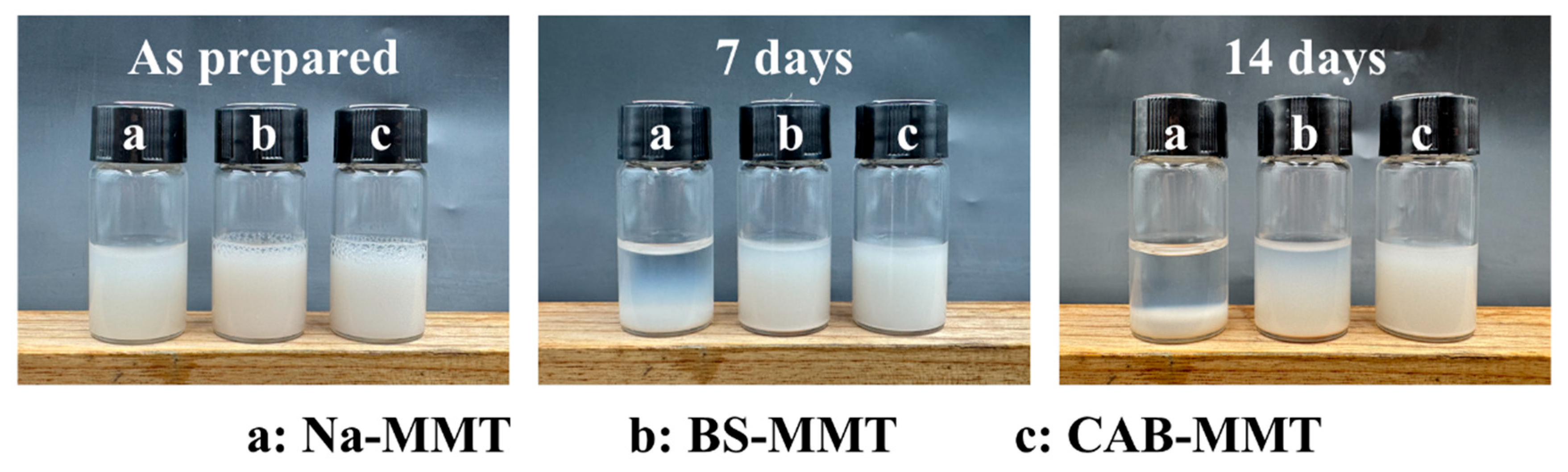 Lubricants 13 00361 g004
