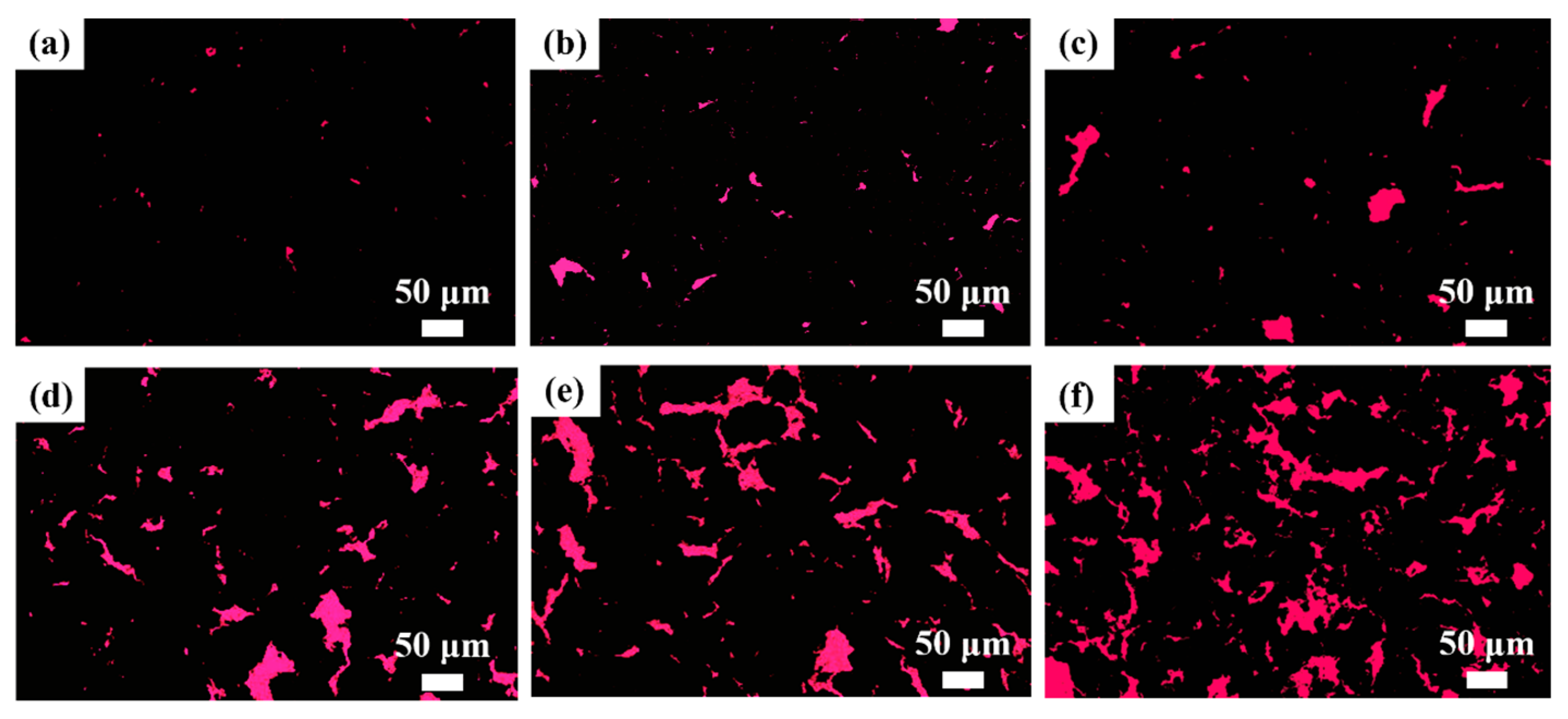 Lubricants 13 00366 g004
