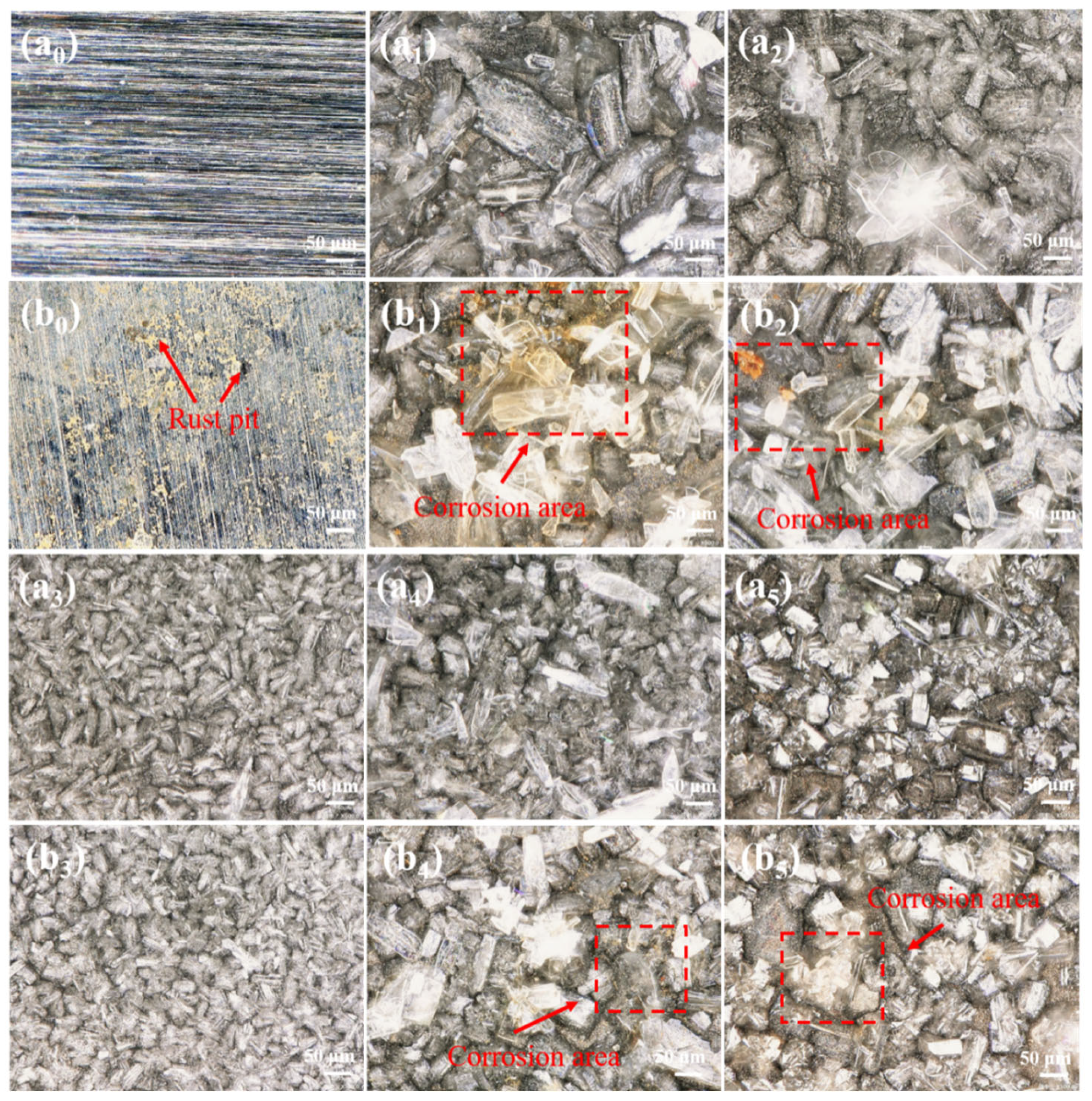 Lubricants 13 00367 g006