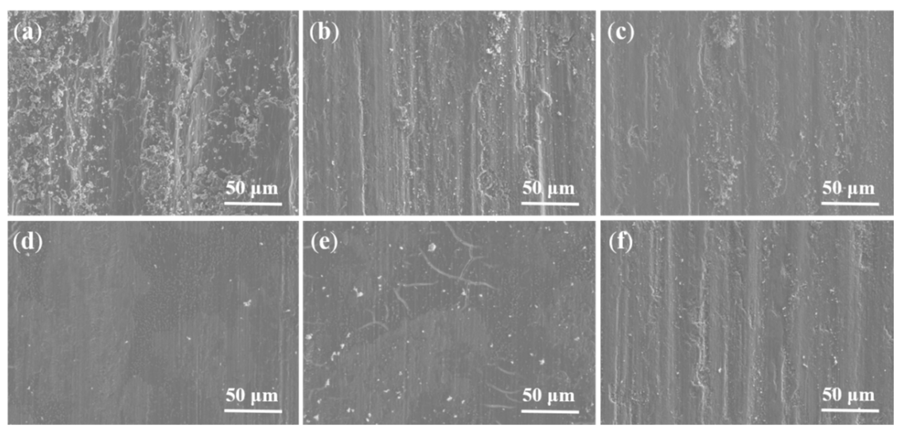 Lubricants 13 00367 g009