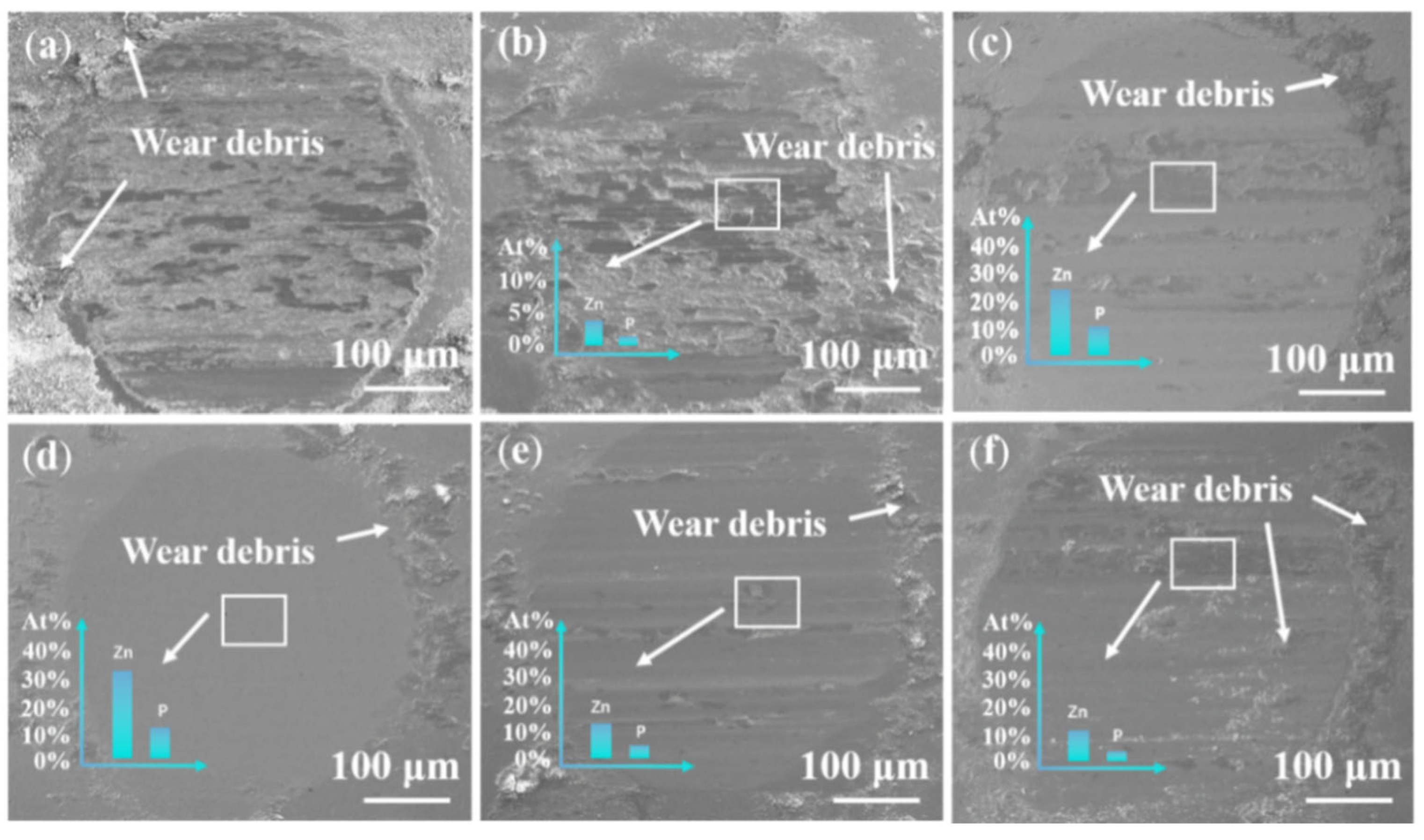 Lubricants 13 00367 g011