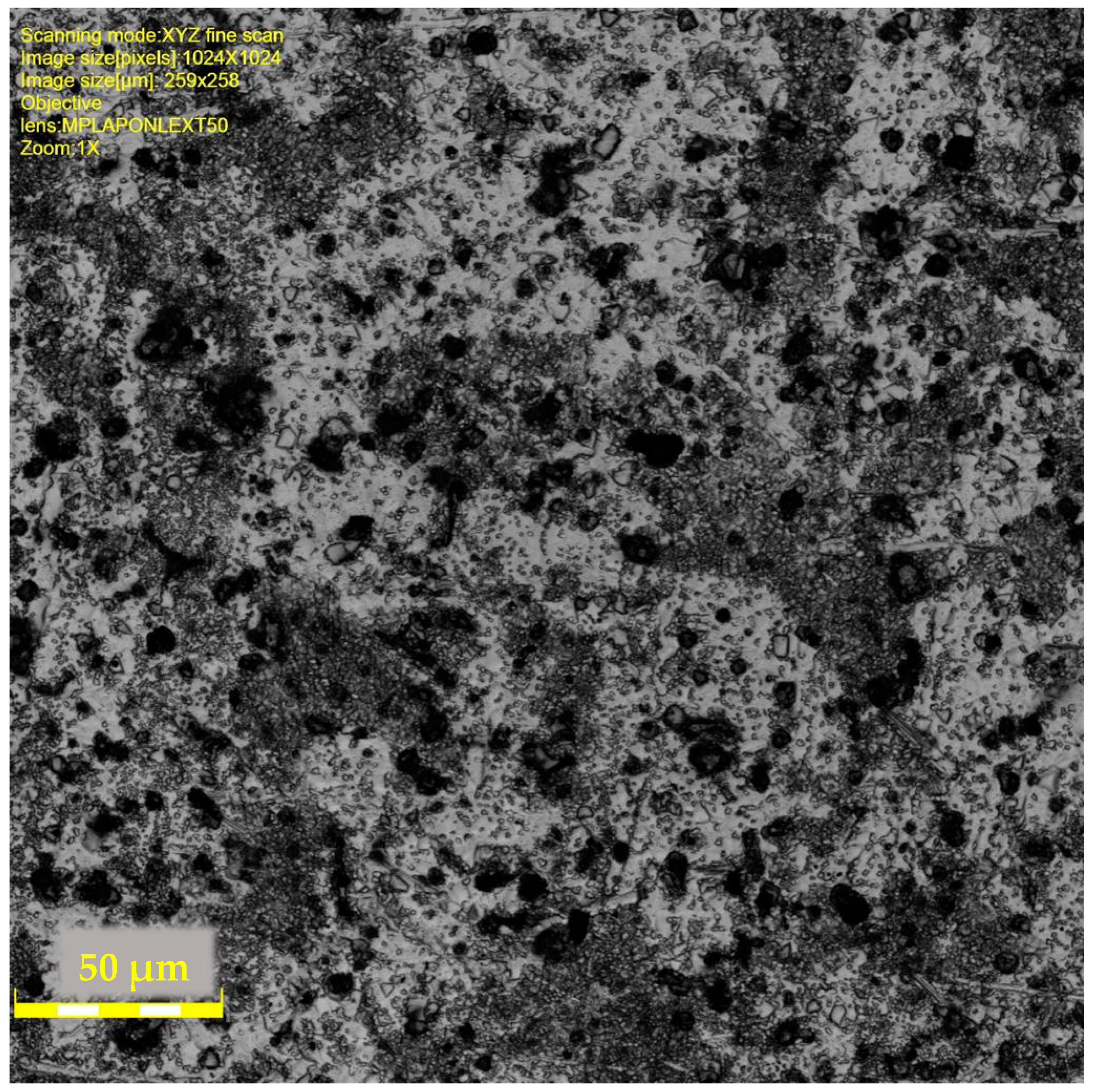 Lubricants 13 00368 g001