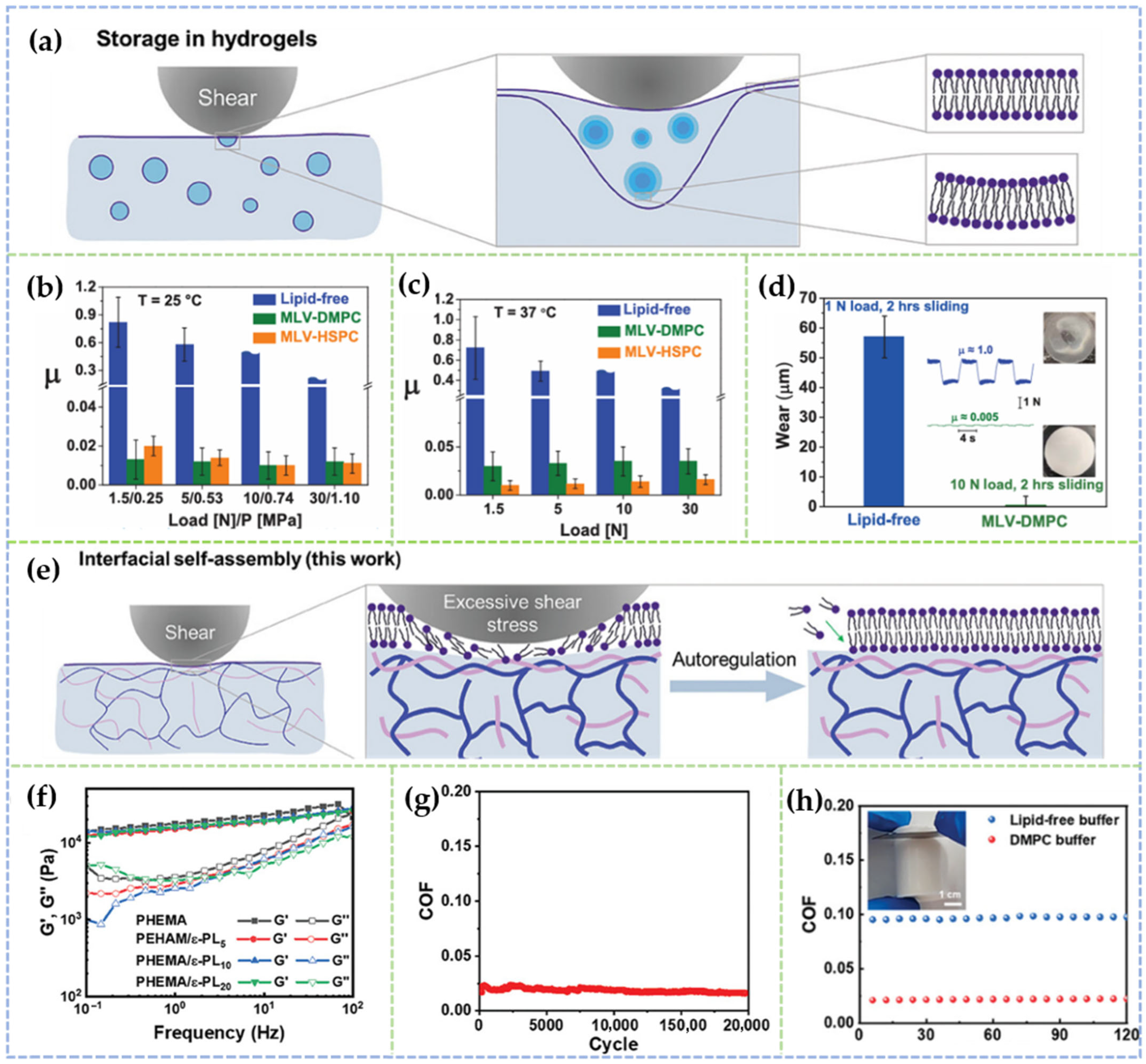Lubricants 13 00373 g002