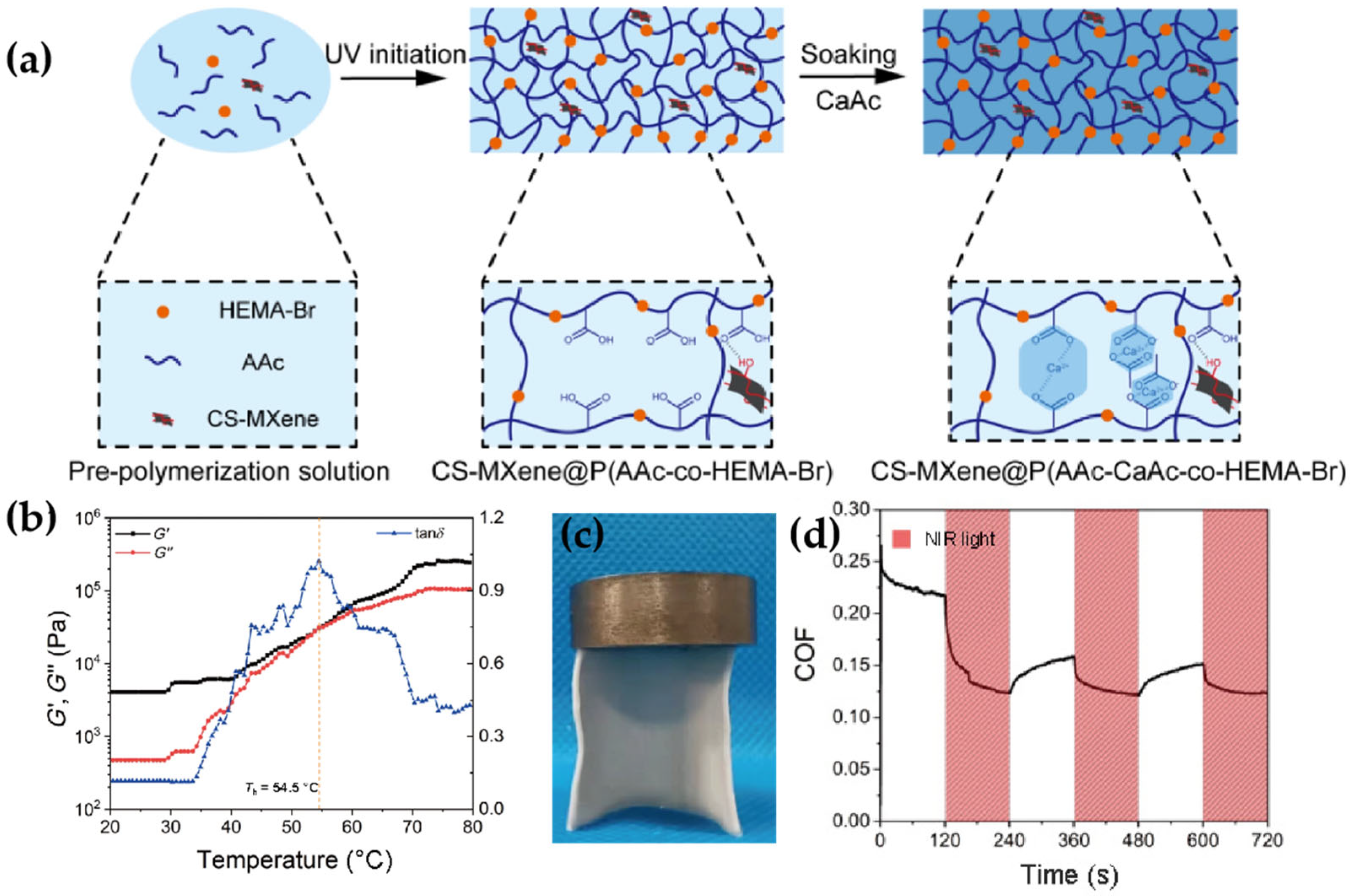 Lubricants 13 00373 g004