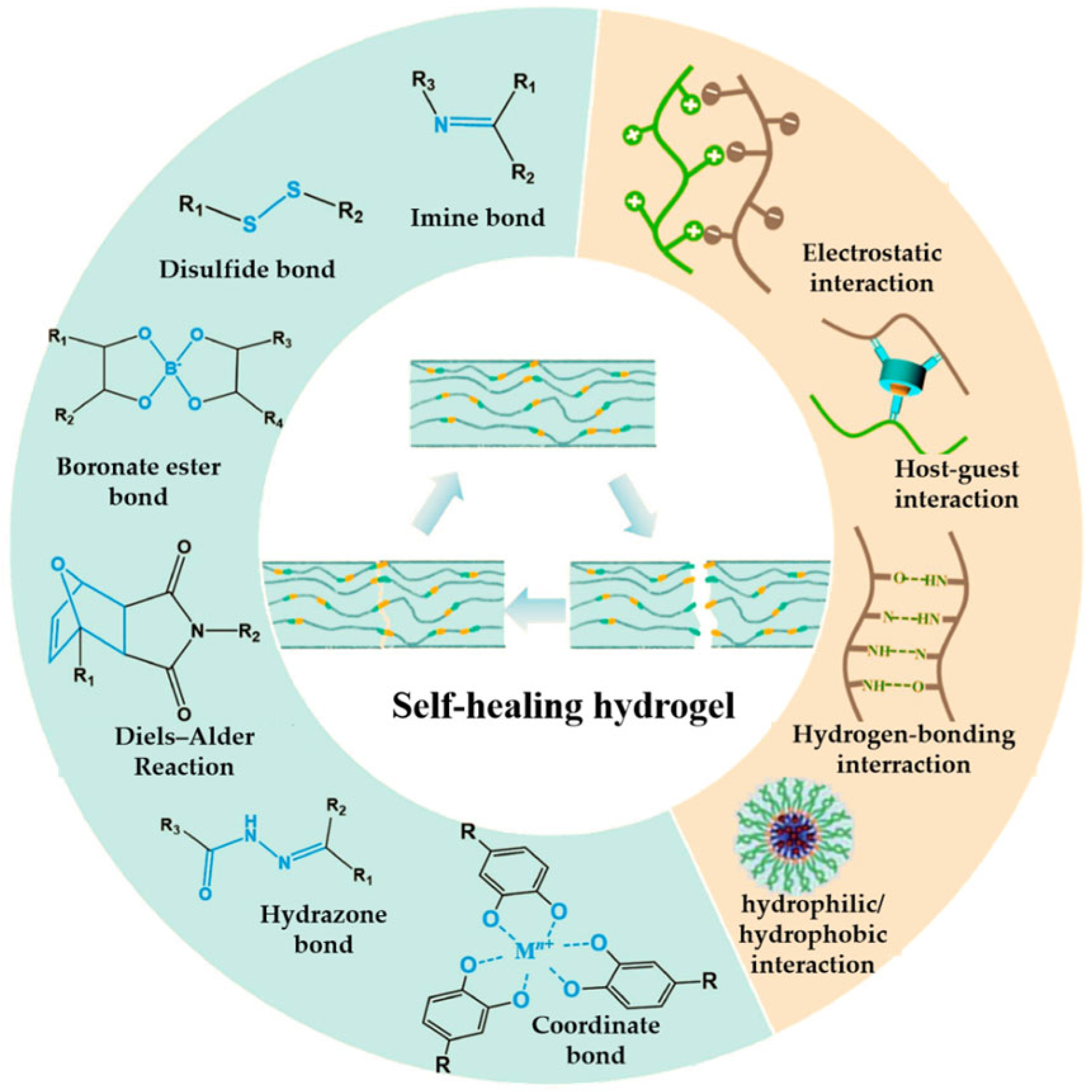 Lubricants 13 00373 g007