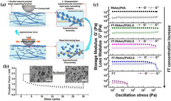Lubricants 13 00373 g009