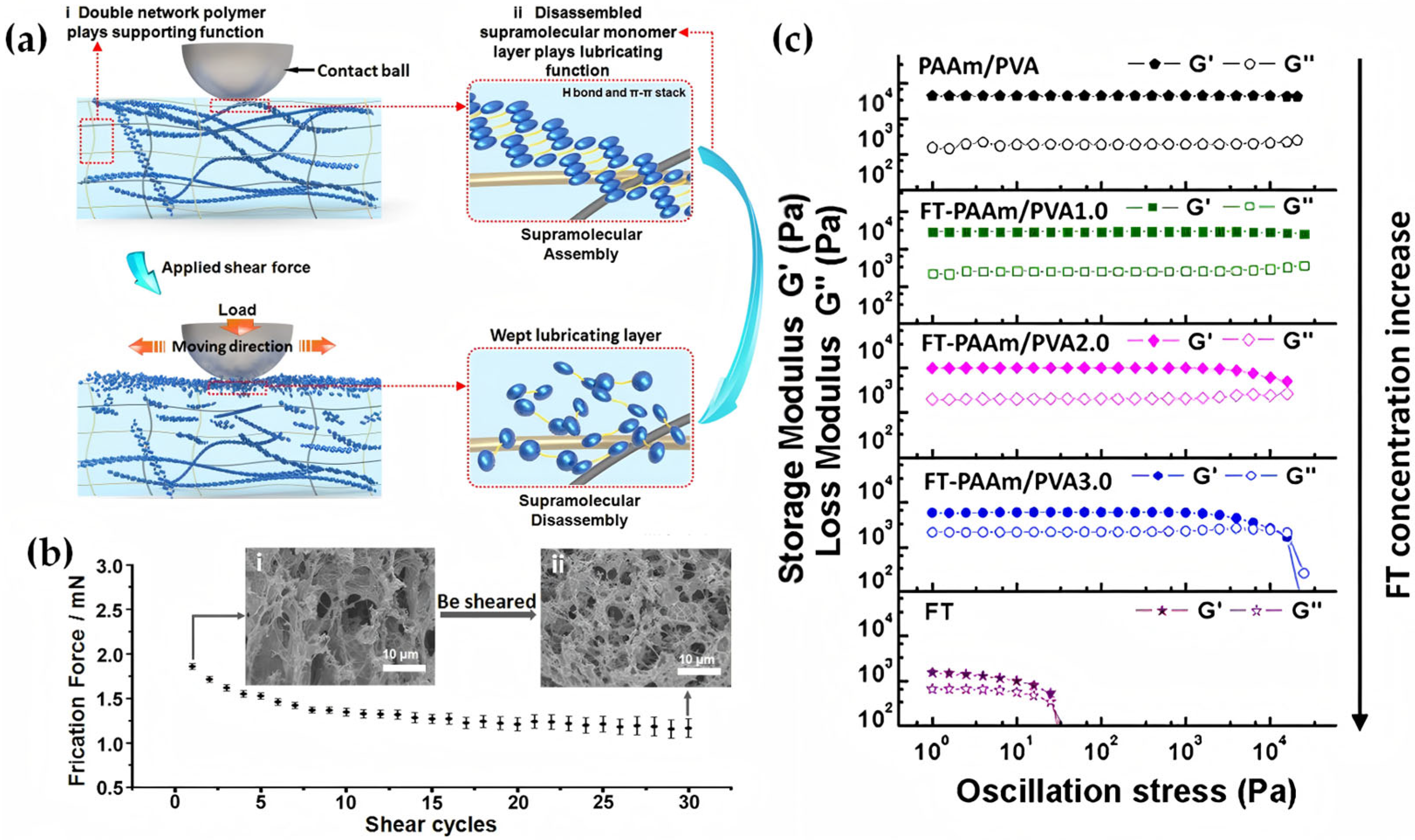 Lubricants 13 00373 g009