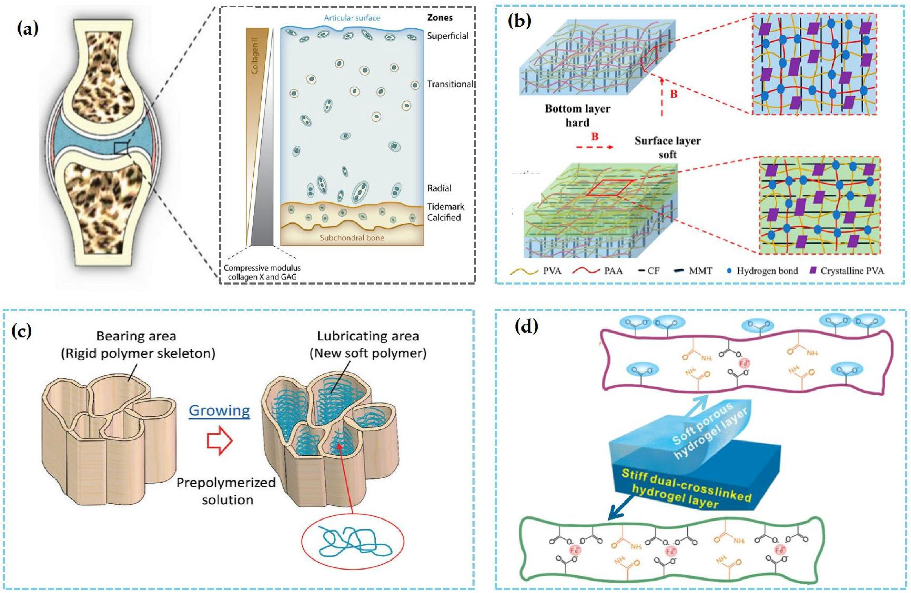 Lubricants 13 00373 g011