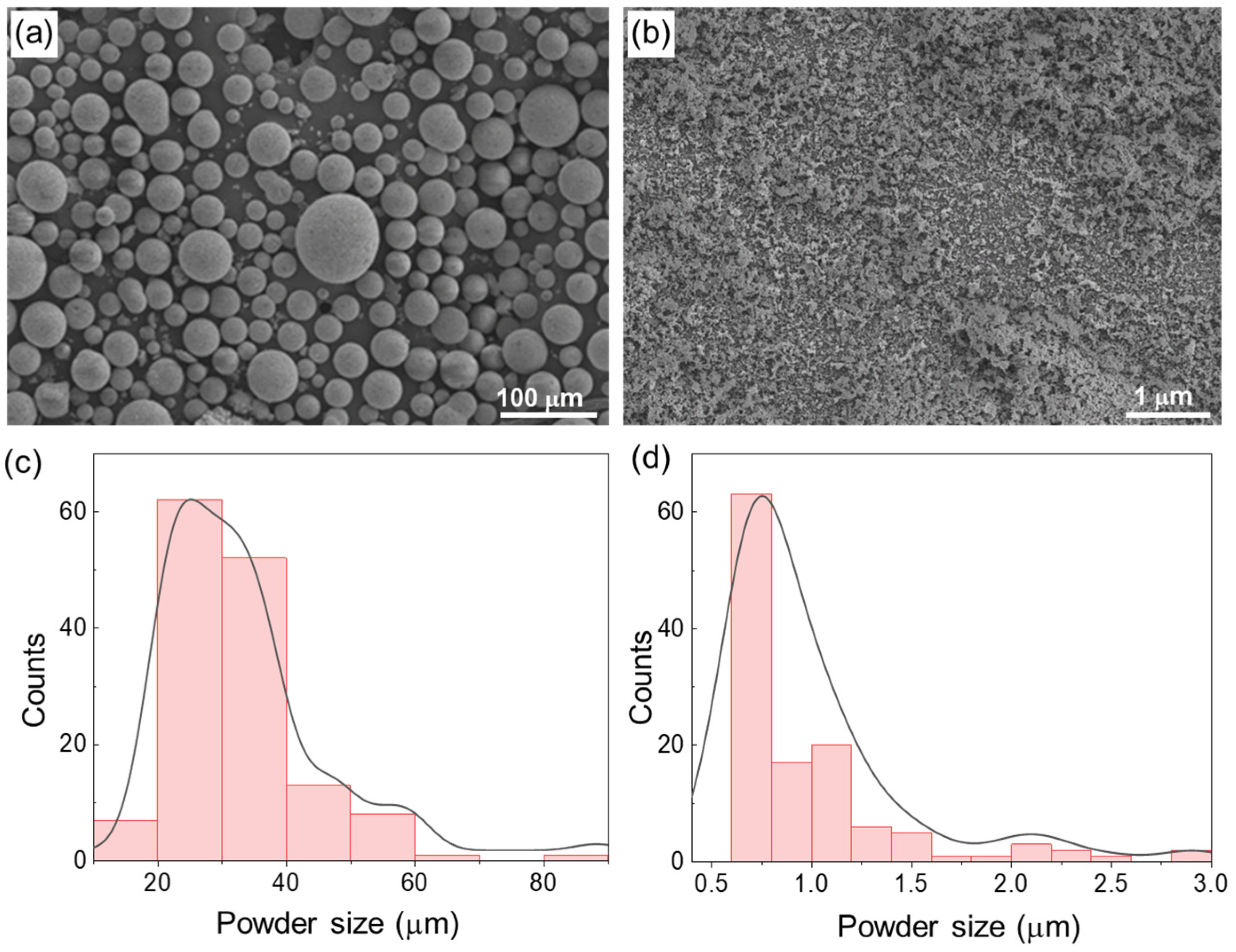 Lubricants 13 00374 g002