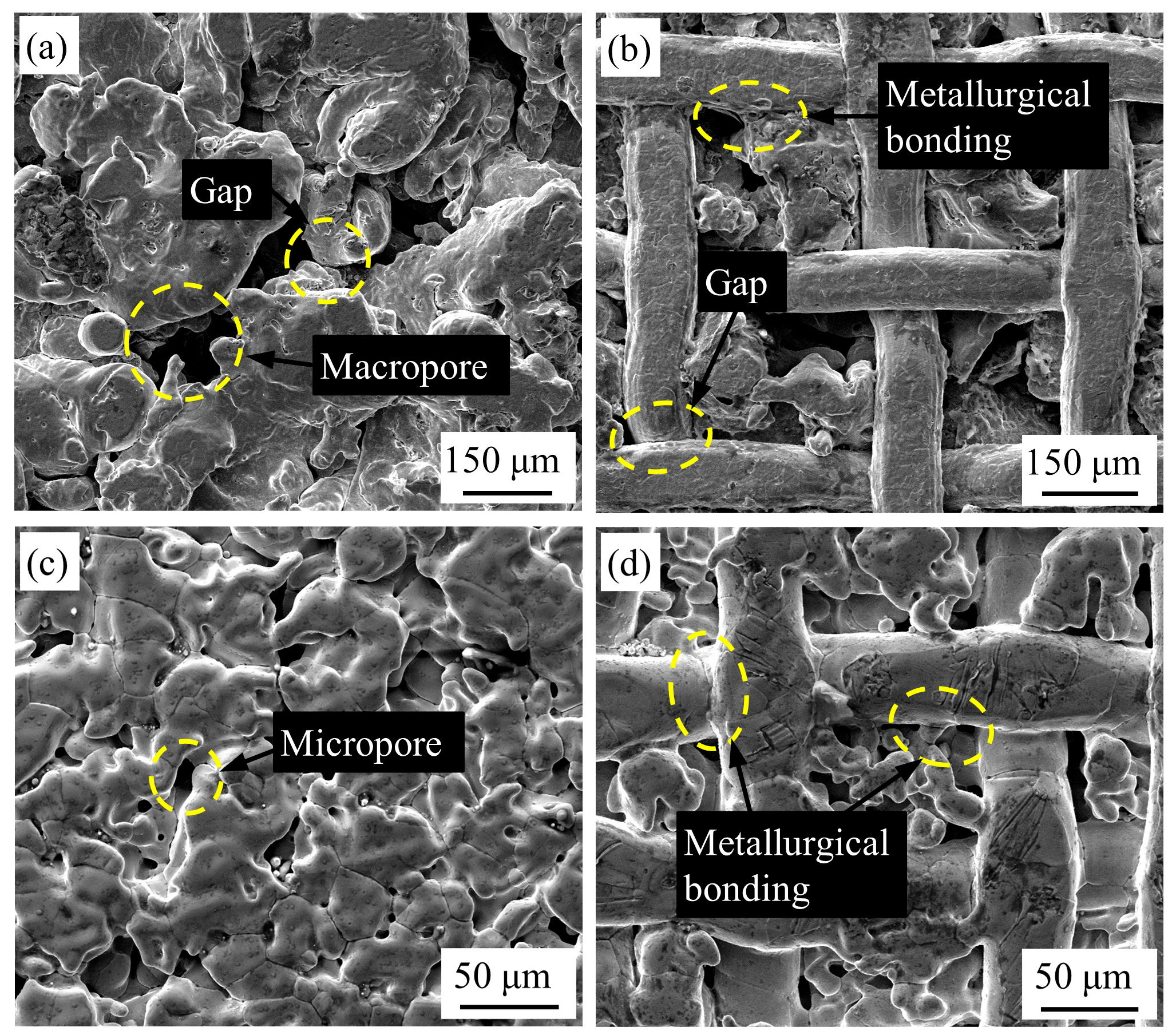 Lubricants 13 00385 g005