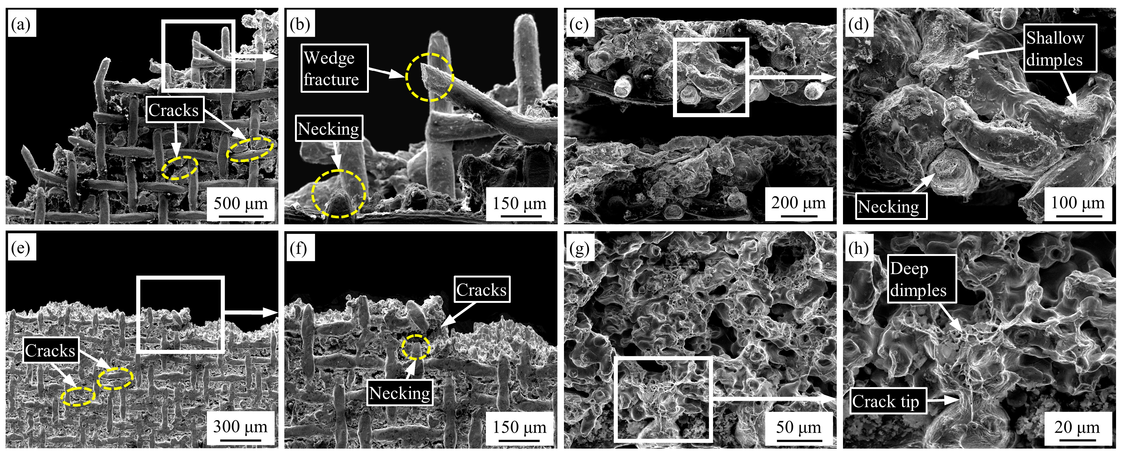 Lubricants 13 00385 g008