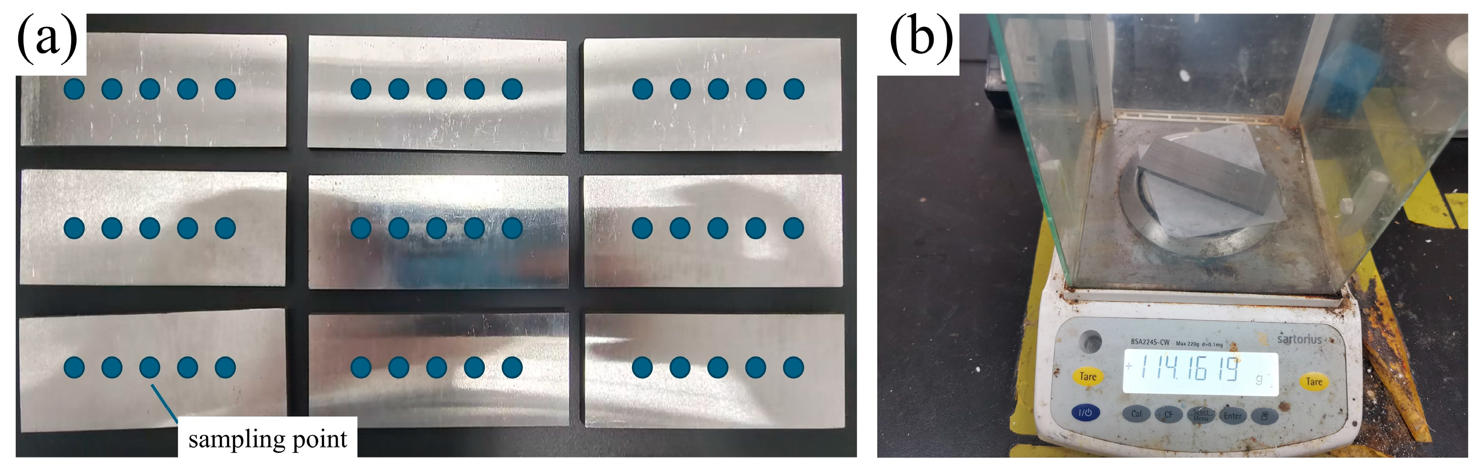 Lubricants 13 00388 g004 Lubricants 13 00388 g004