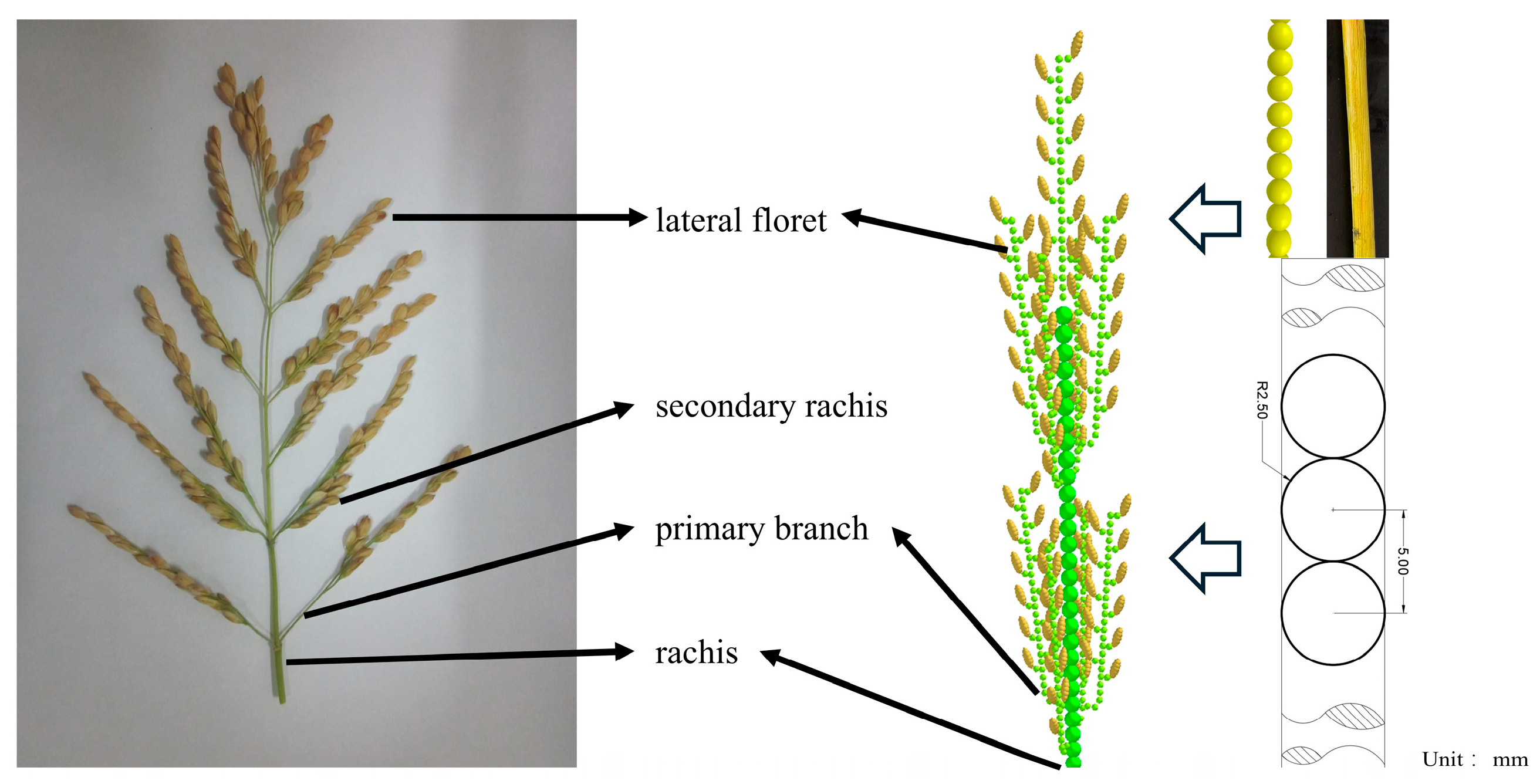 Lubricants 13 00388 g007 Lubricants 13 00388 g007