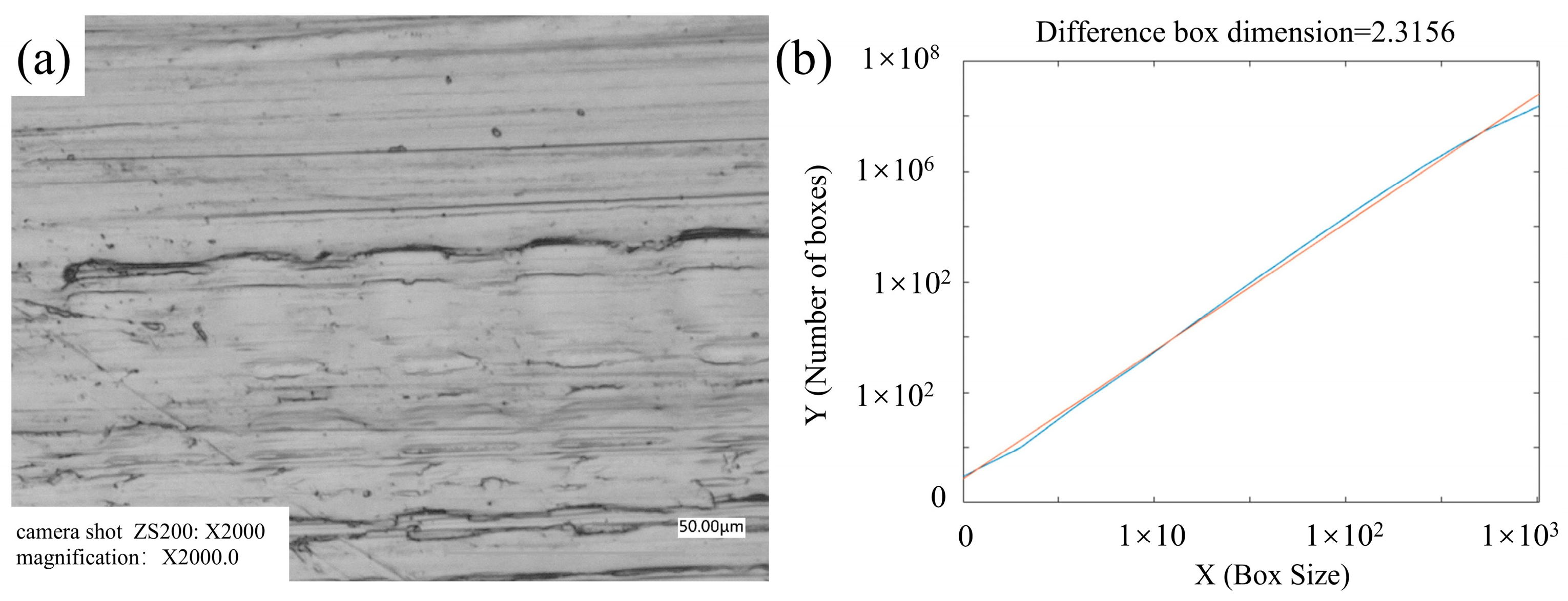 Lubricants 13 00388 g014 Lubricants 13 00388 g014