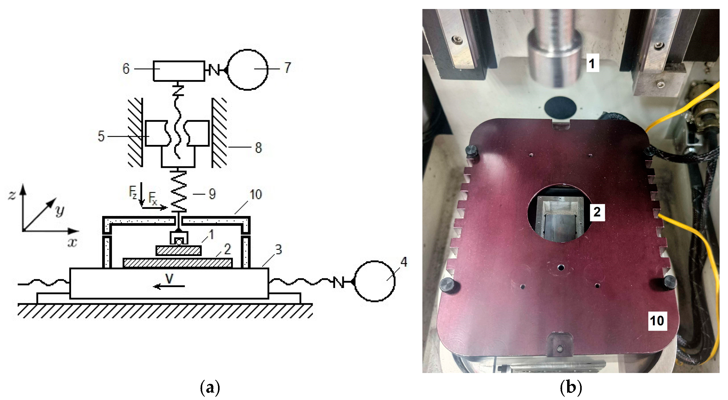 Lubricants 13 00395 g003