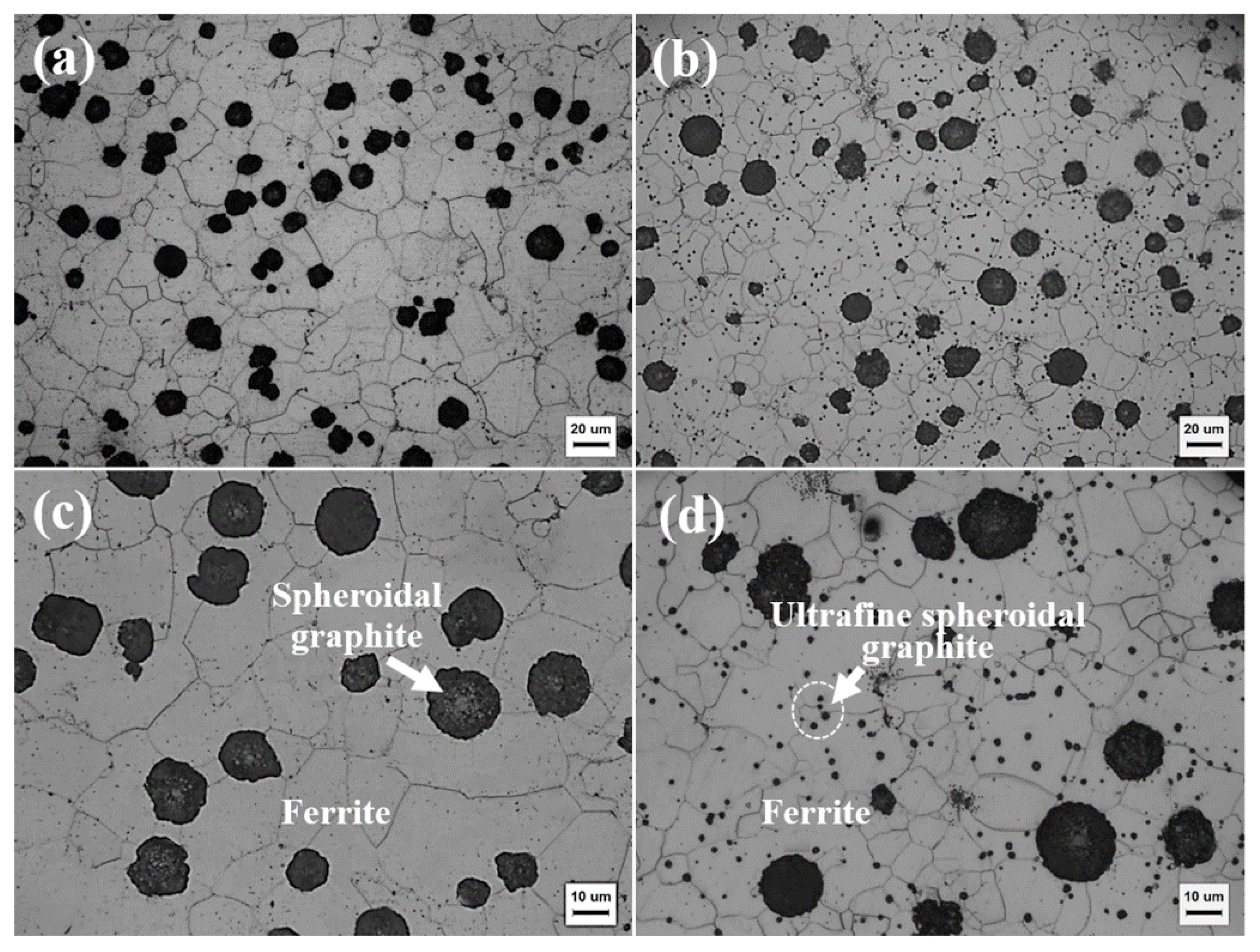 Lubricants 13 00399 g003