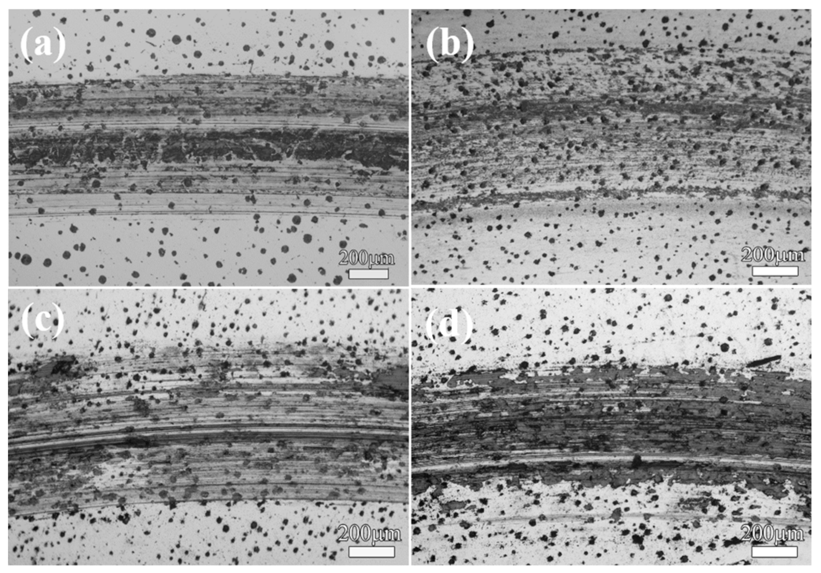 Lubricants 13 00399 g009