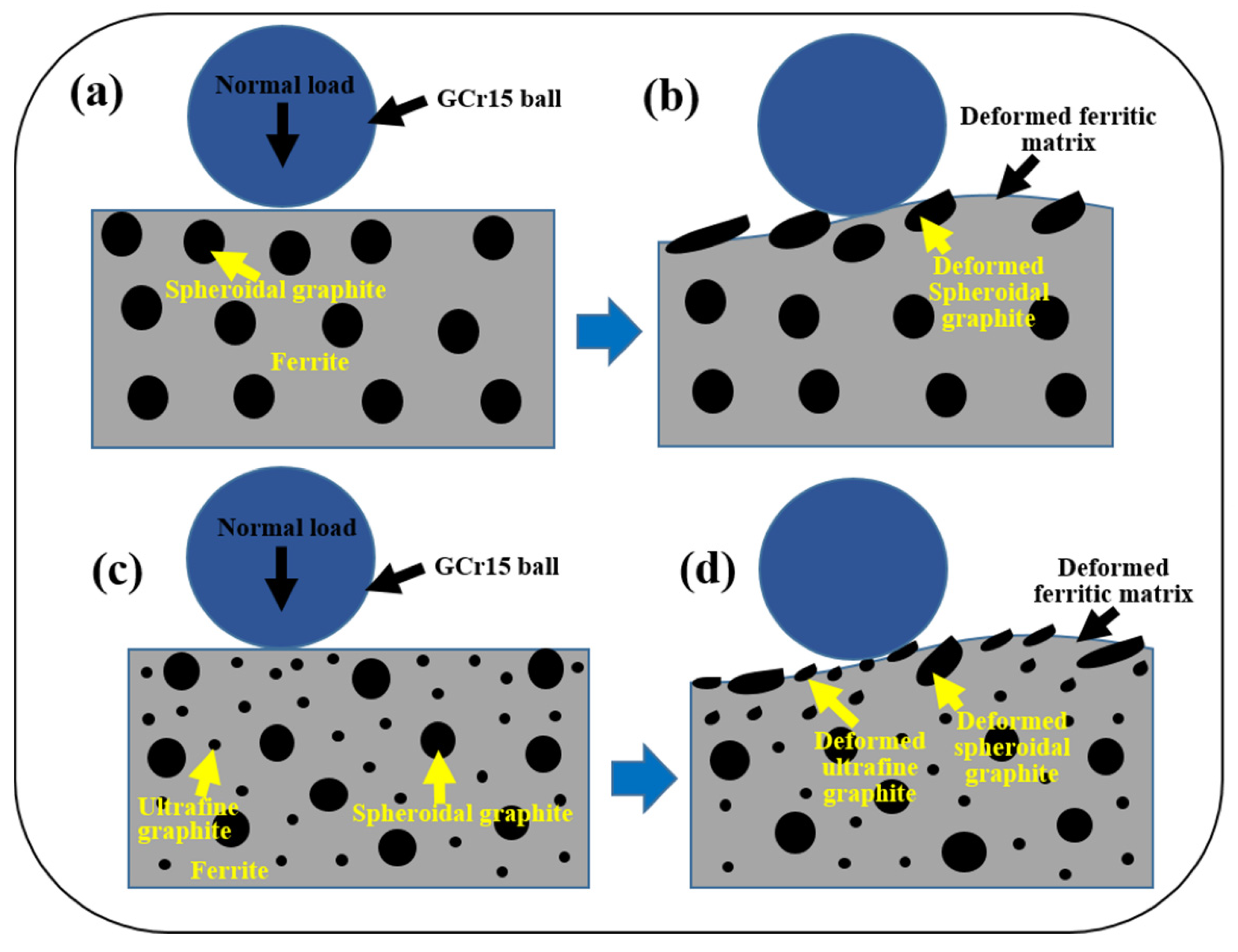 Lubricants 13 00399 g012