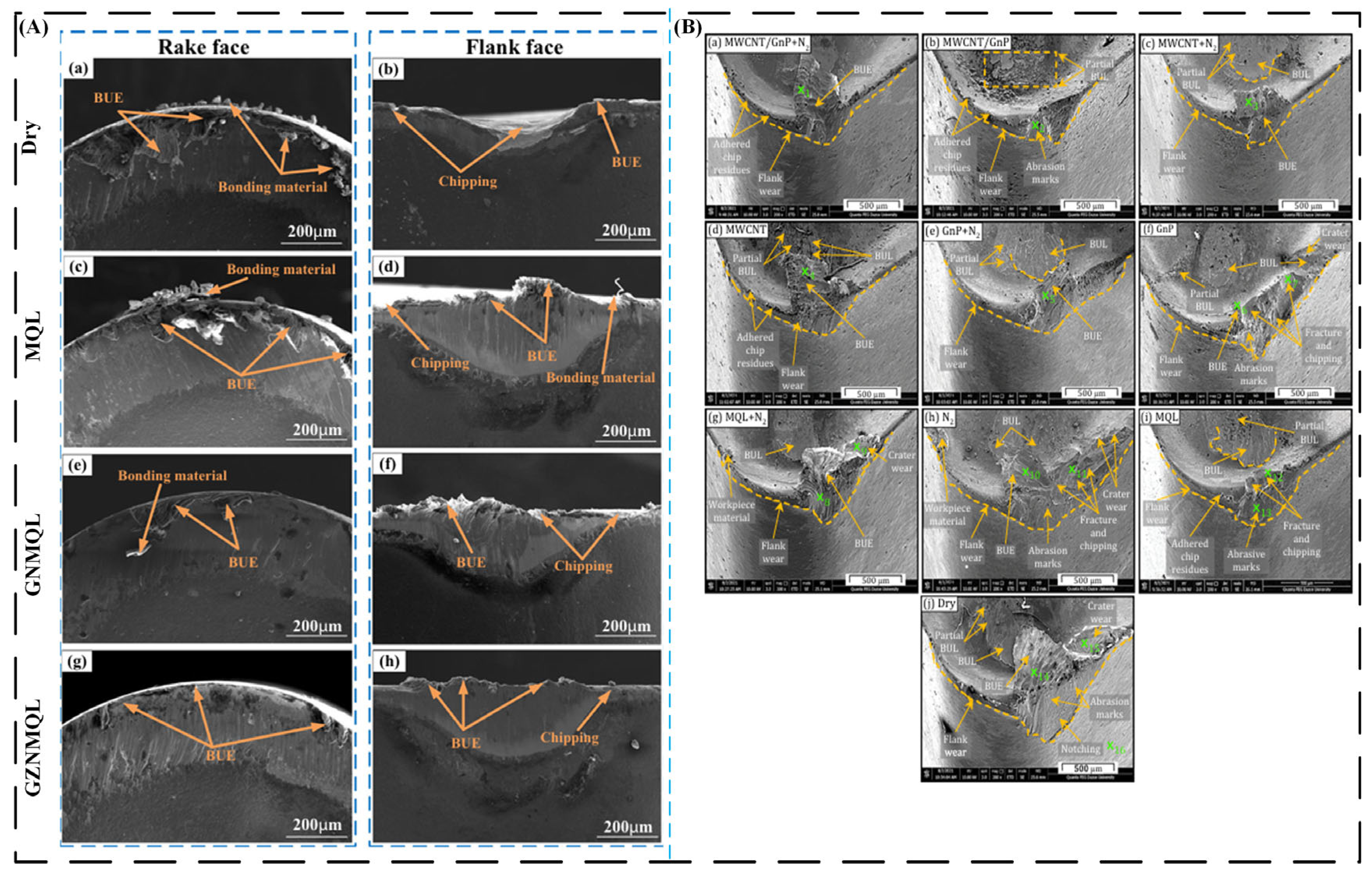 Lubricants 13 00401 g013 Lubricants 13 00401 g013