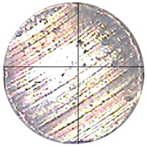 Lubricants 13 00404 i003