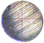 Lubricants 13 00404 i005