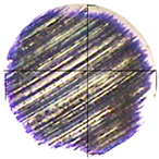 Lubricants 13 00404 i012