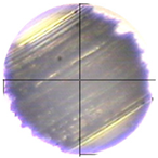 Lubricants 13 00404 i019