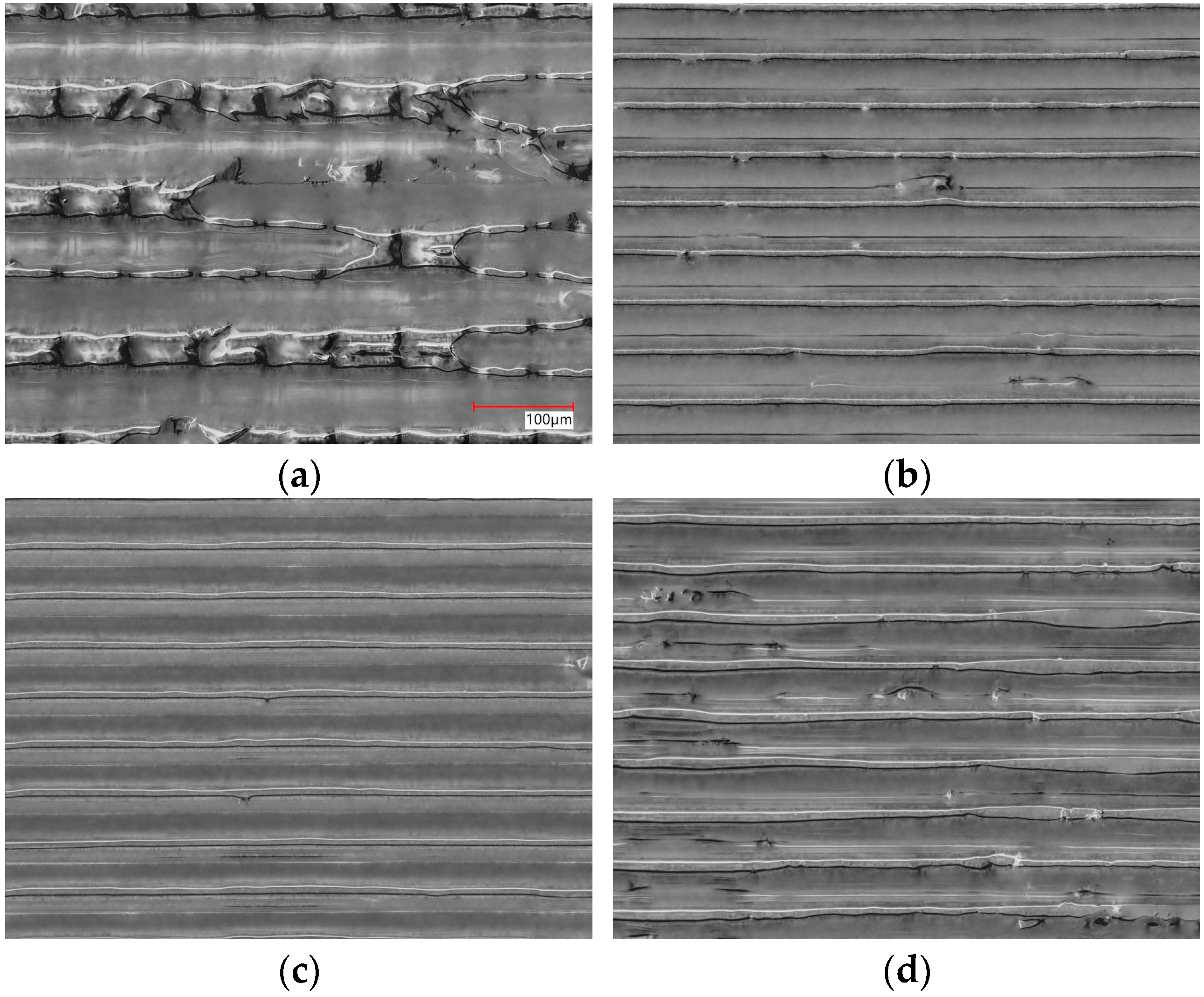 Lubricants 13 00406 g002