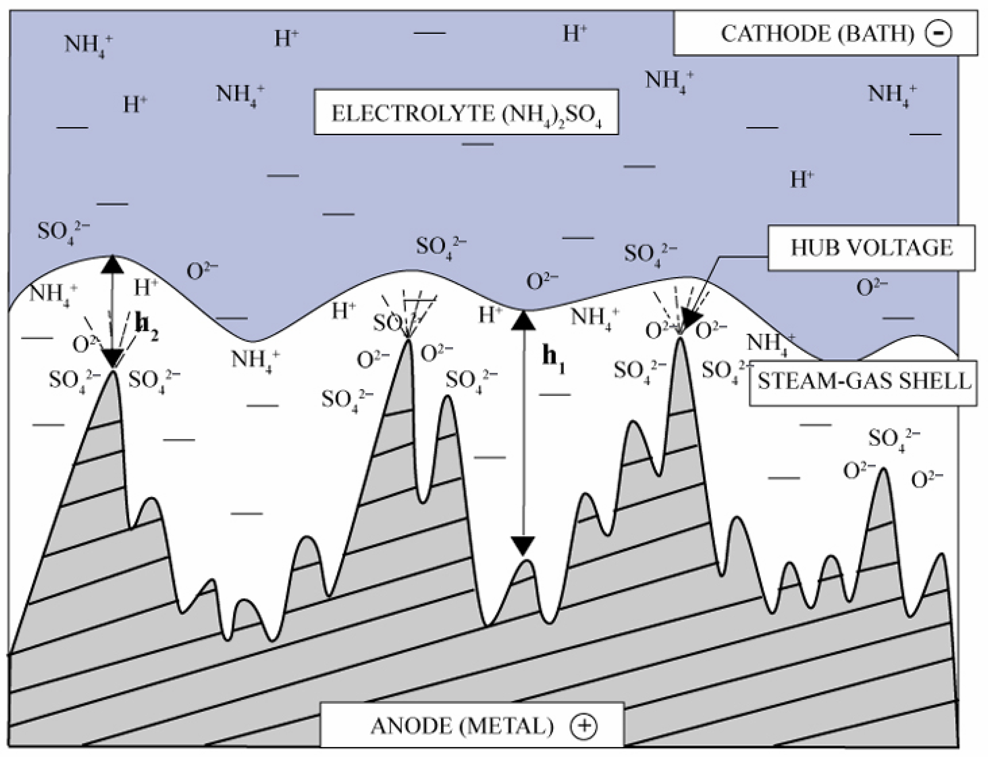 Lubricants 13 00412 g006