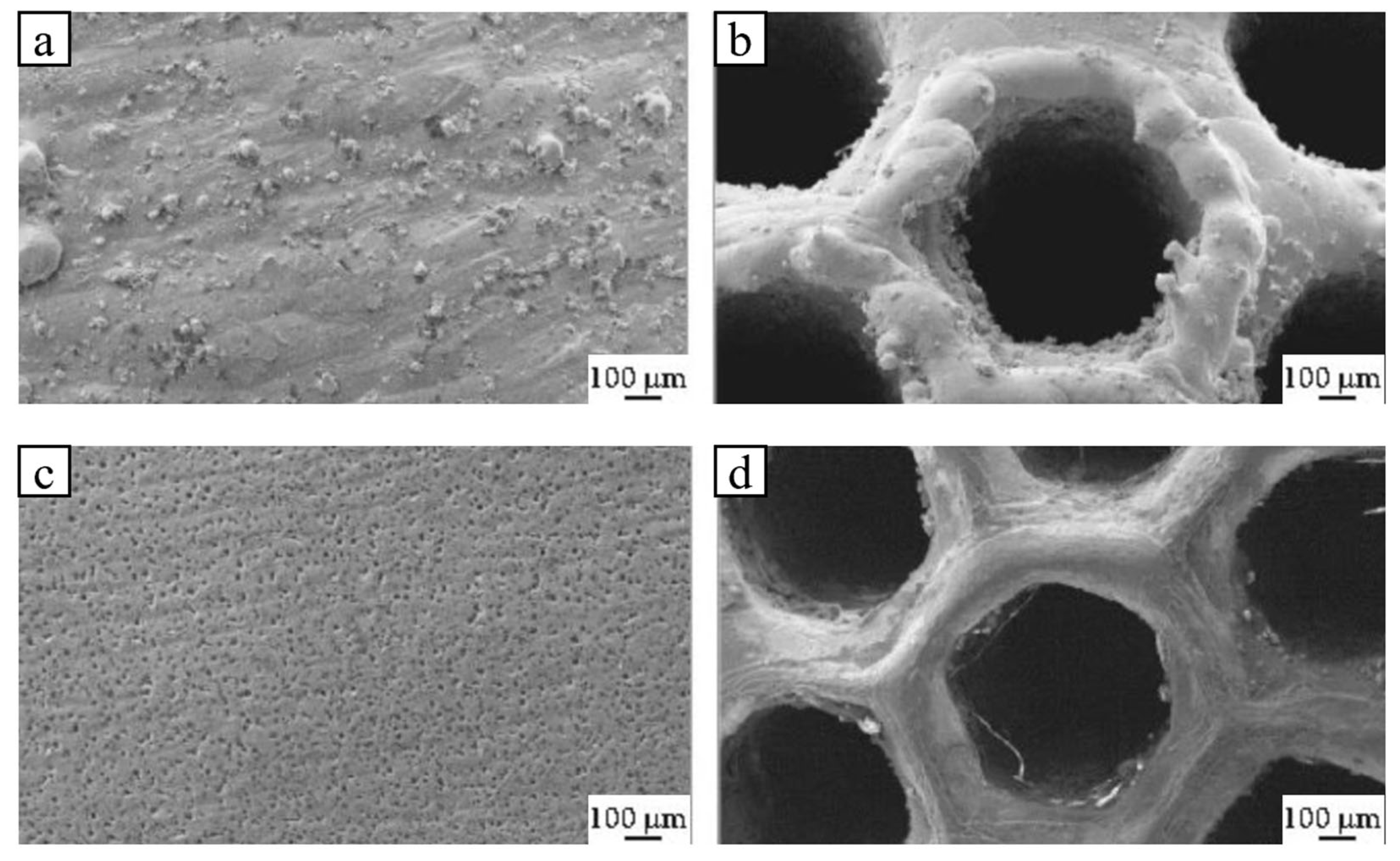 Lubricants 13 00412 g012