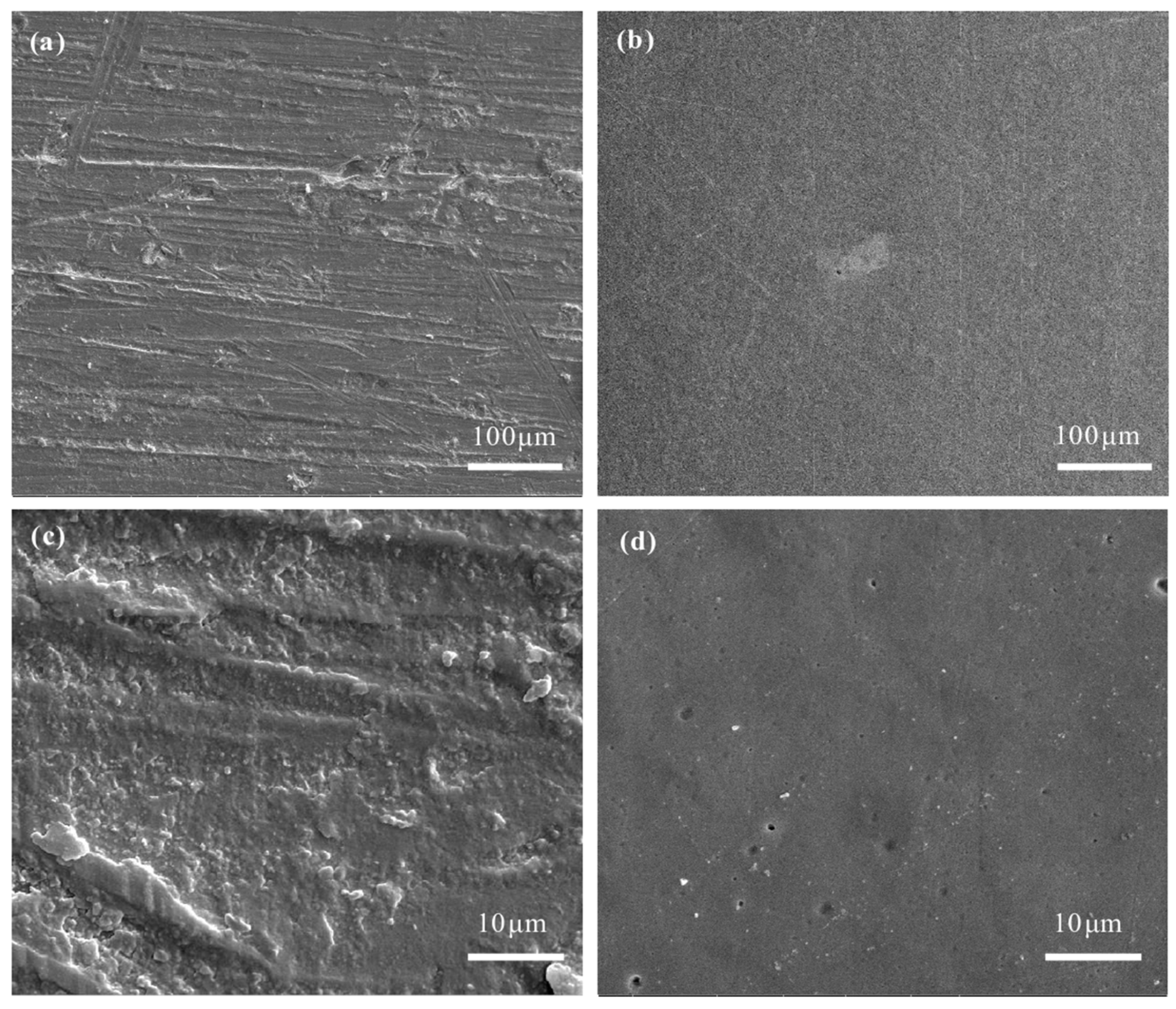 Lubricants 13 00412 g014