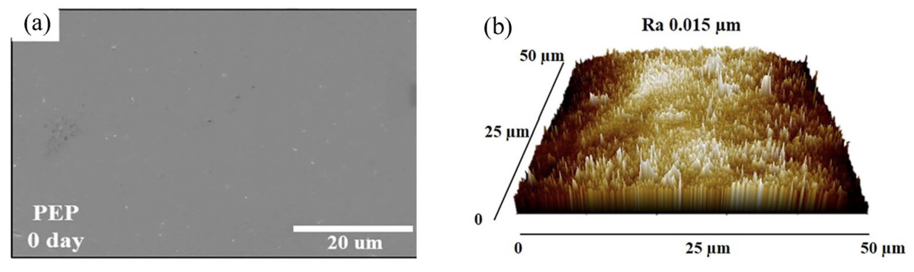 Lubricants 13 00412 g015