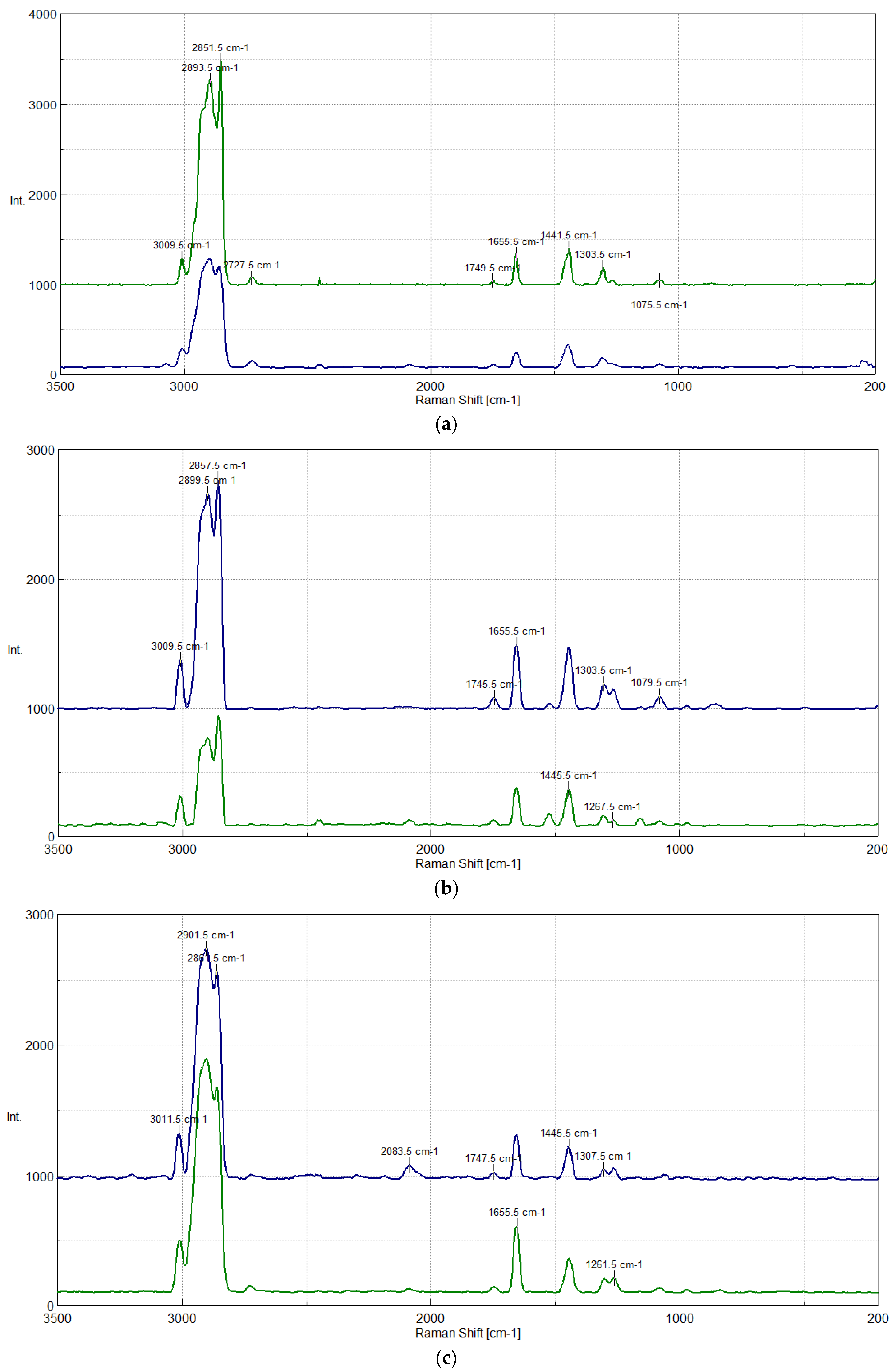 Lubricants 13 00416 g002