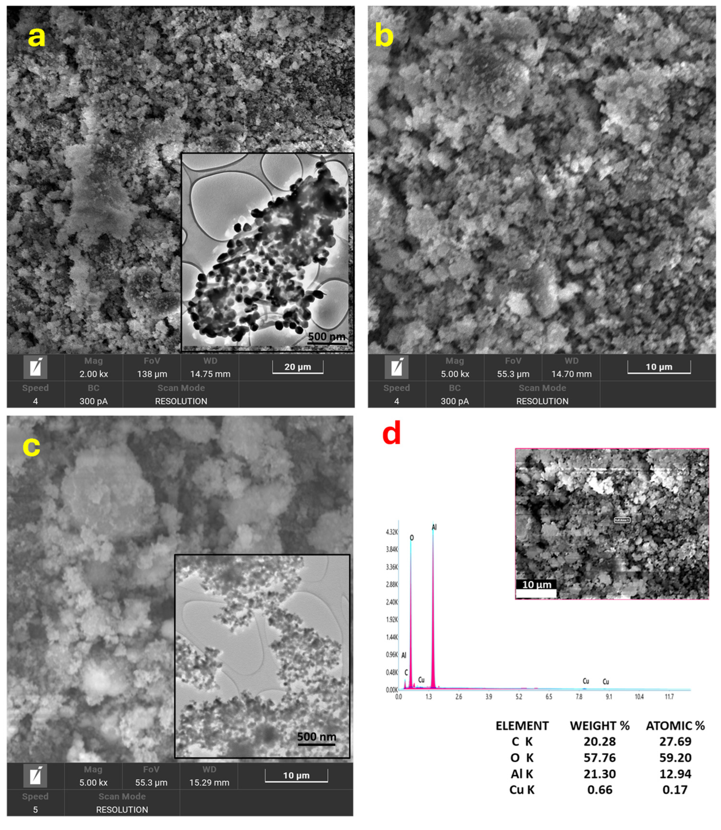 Lubricants 13 00418 g003